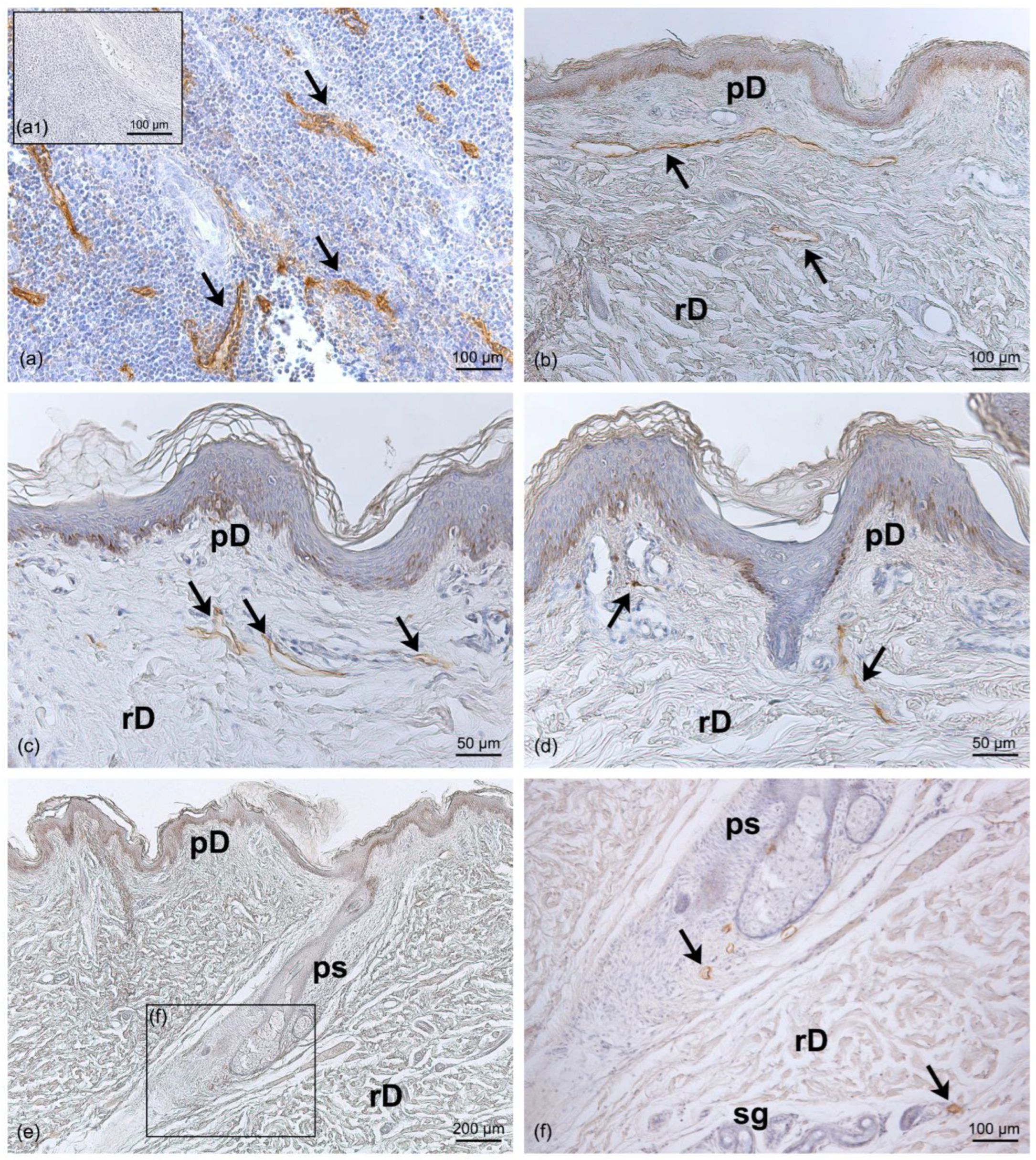 Life 13 00836 g002 Life 13 00836 g002