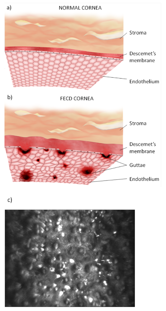 Life 13 00837 g001 Life 13 00837 g001