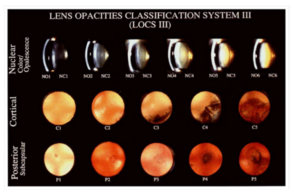 Life 13 00837 g002 Life 13 00837 g002