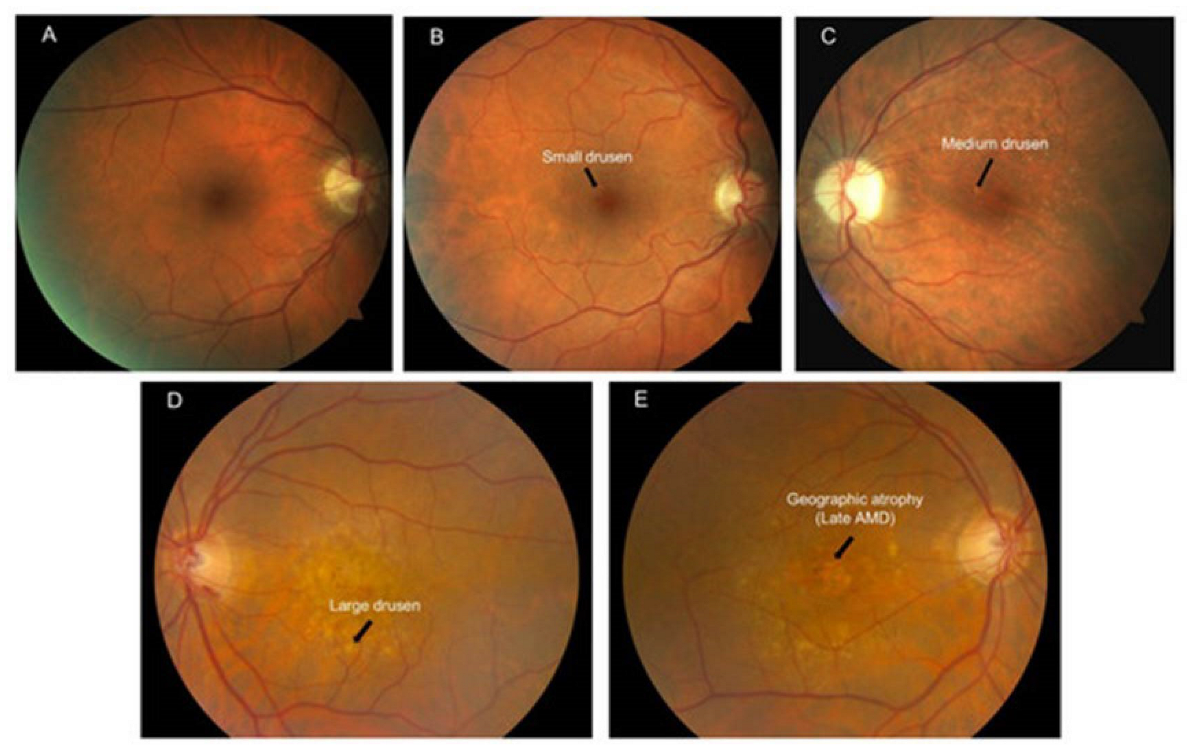 Life 13 00837 g003 Life 13 00837 g003