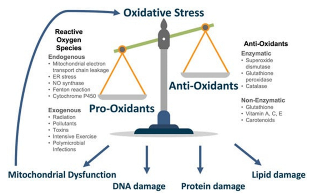 Life 13 00837 g004 Life 13 00837 g004