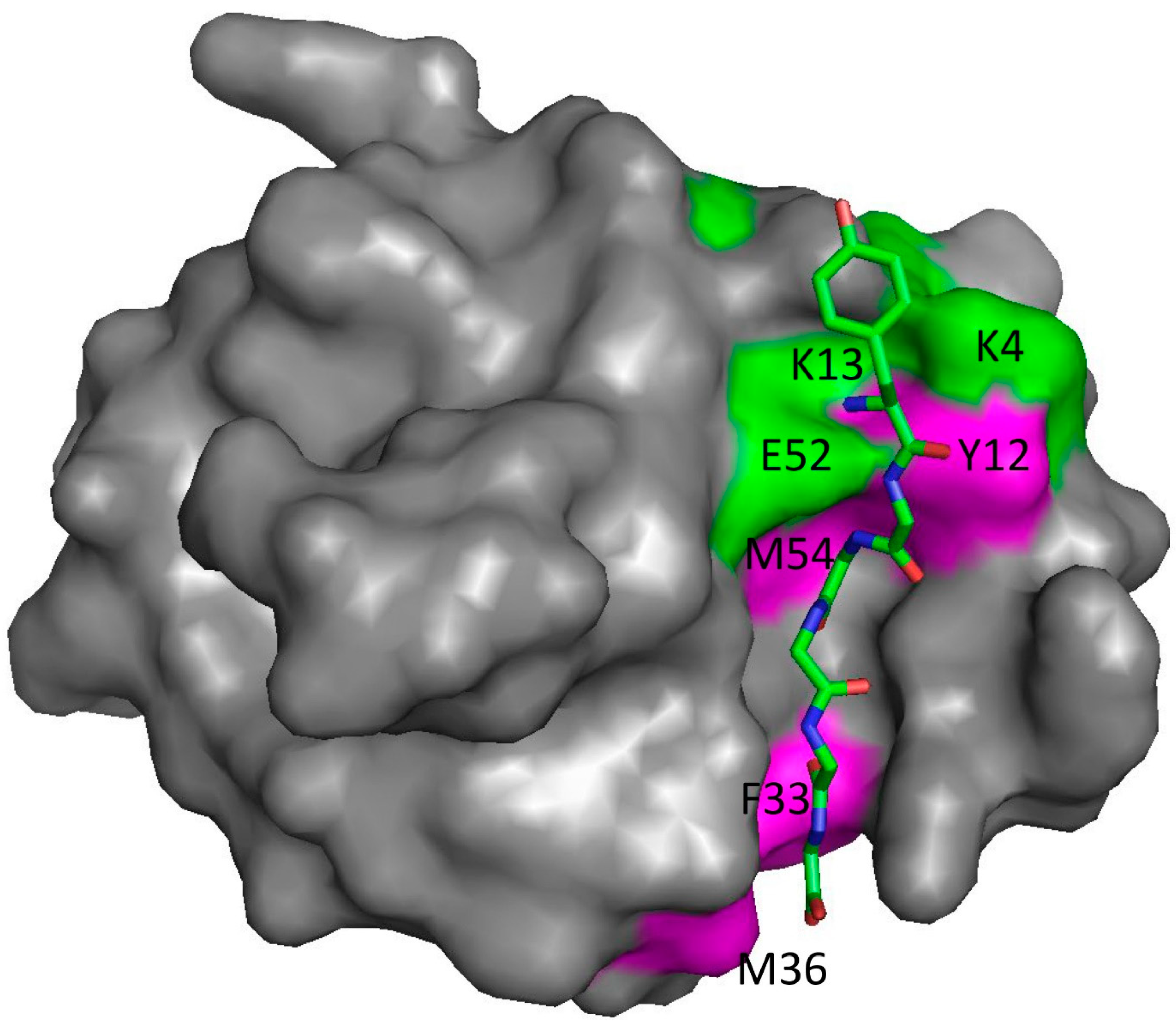 The Shocking Truth About Regulatory Protein Binding Sites - uexe0jv