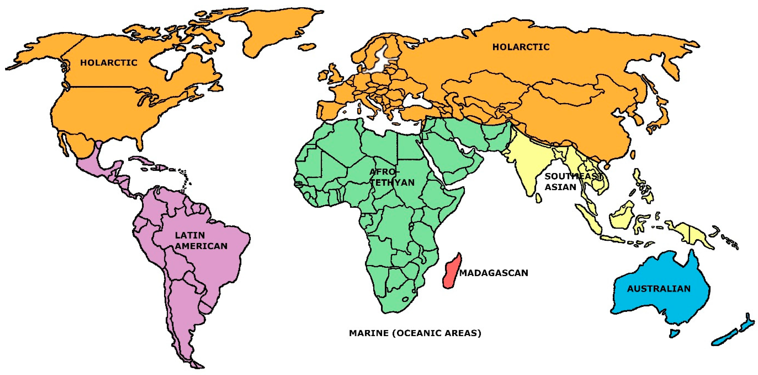 Biogeography Evolution