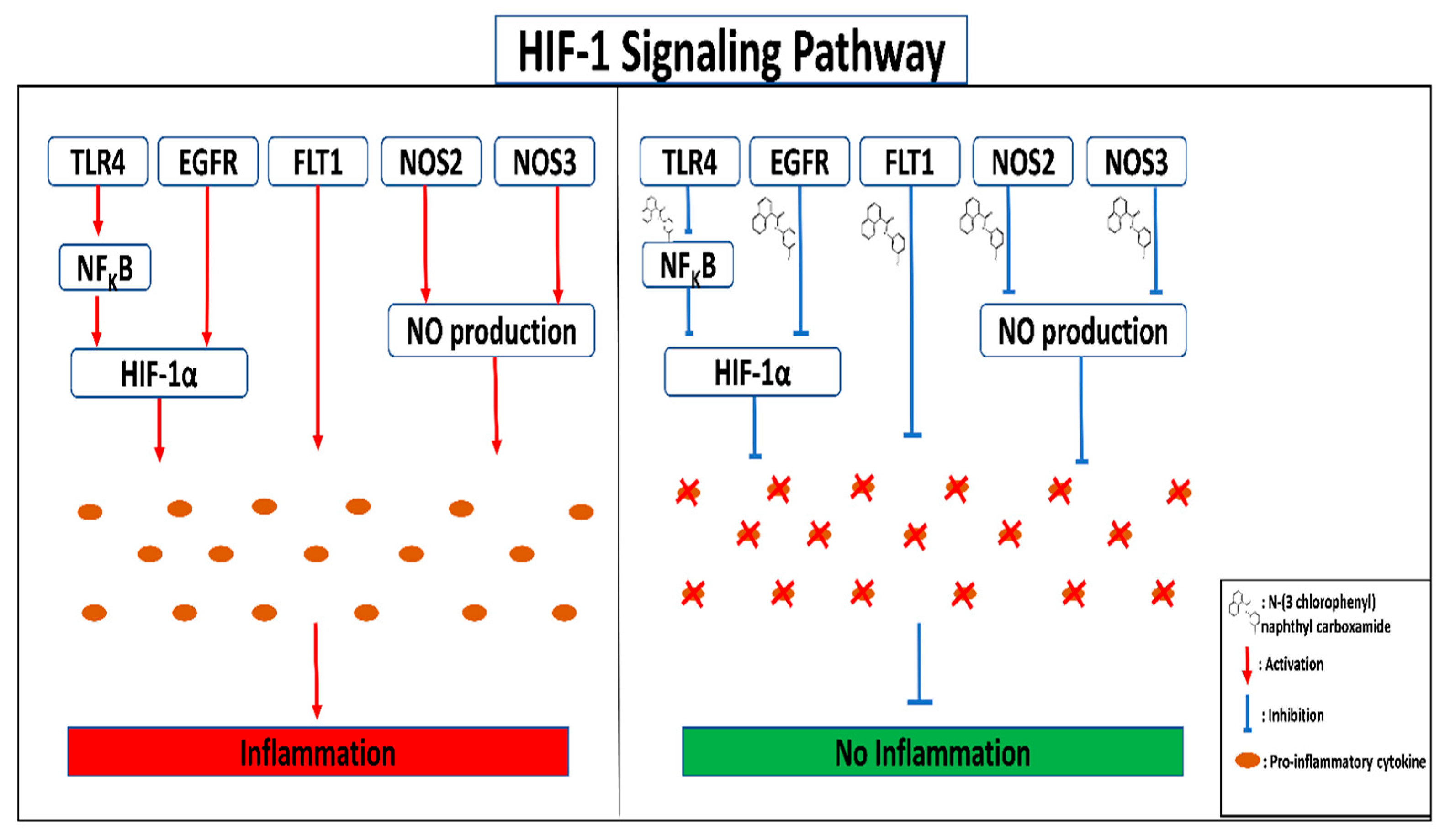 Life 13 00893 g009 Life 13 00893 g009