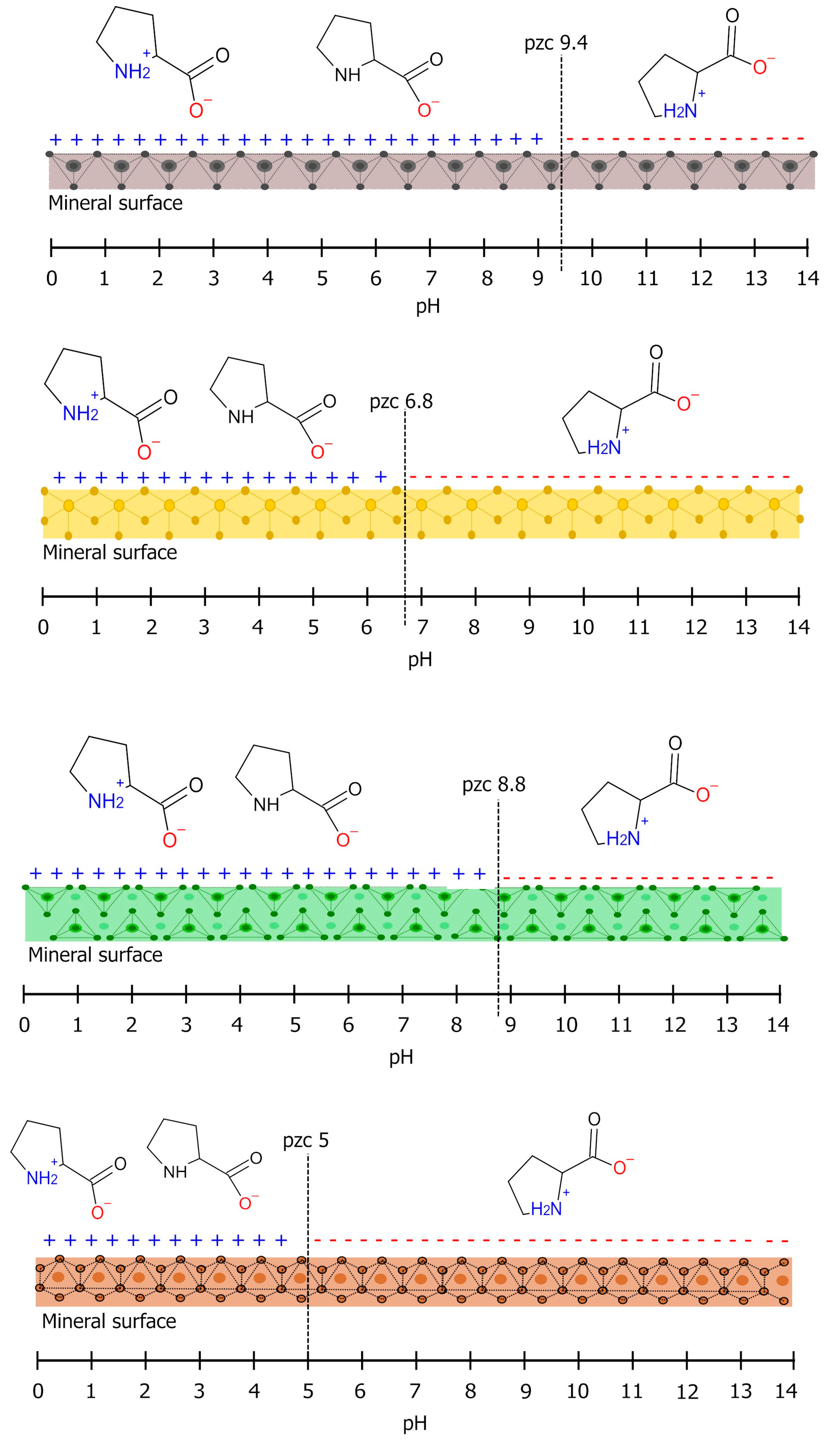Life 13 00908 g009 Life 13 00908 g009