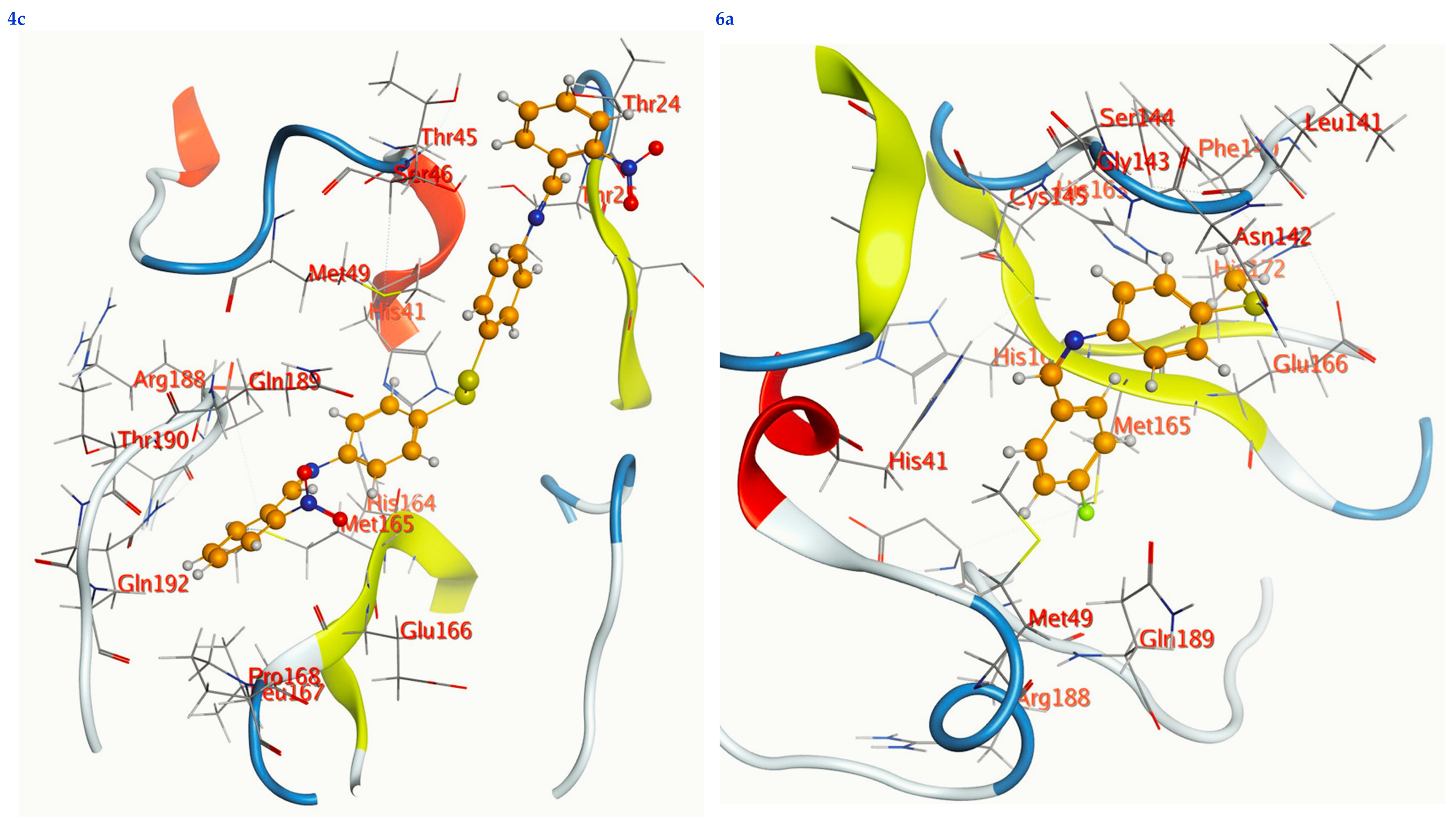 Life 13 00912 g007b Life 13 00912 g007b