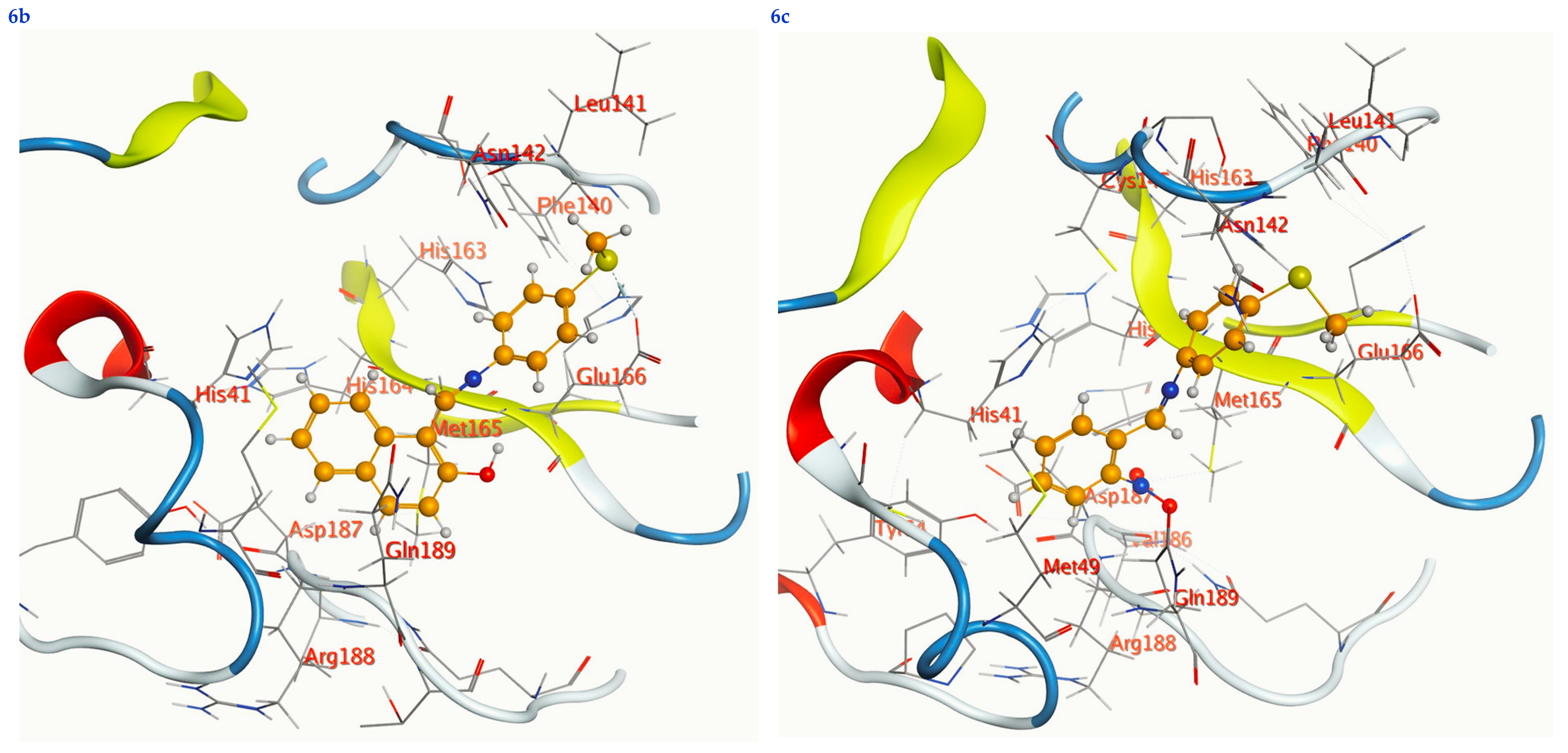 Life 13 00912 g007c Life 13 00912 g007c