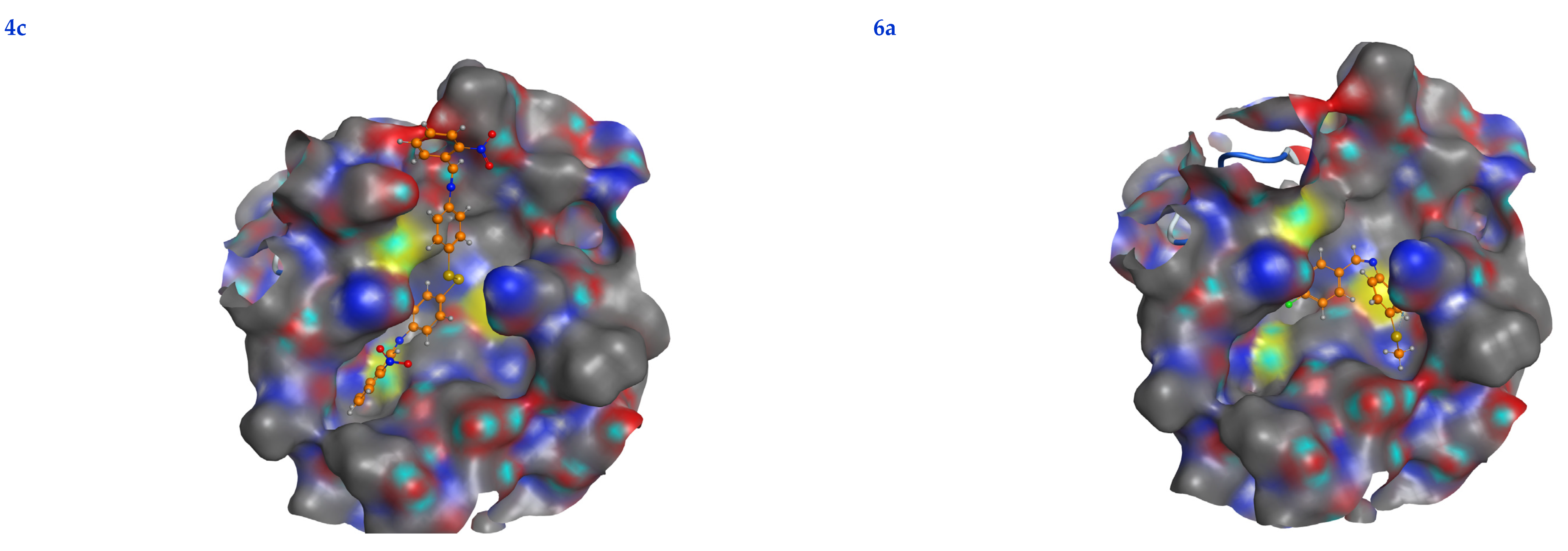 Life 13 00912 g007e Life 13 00912 g007e