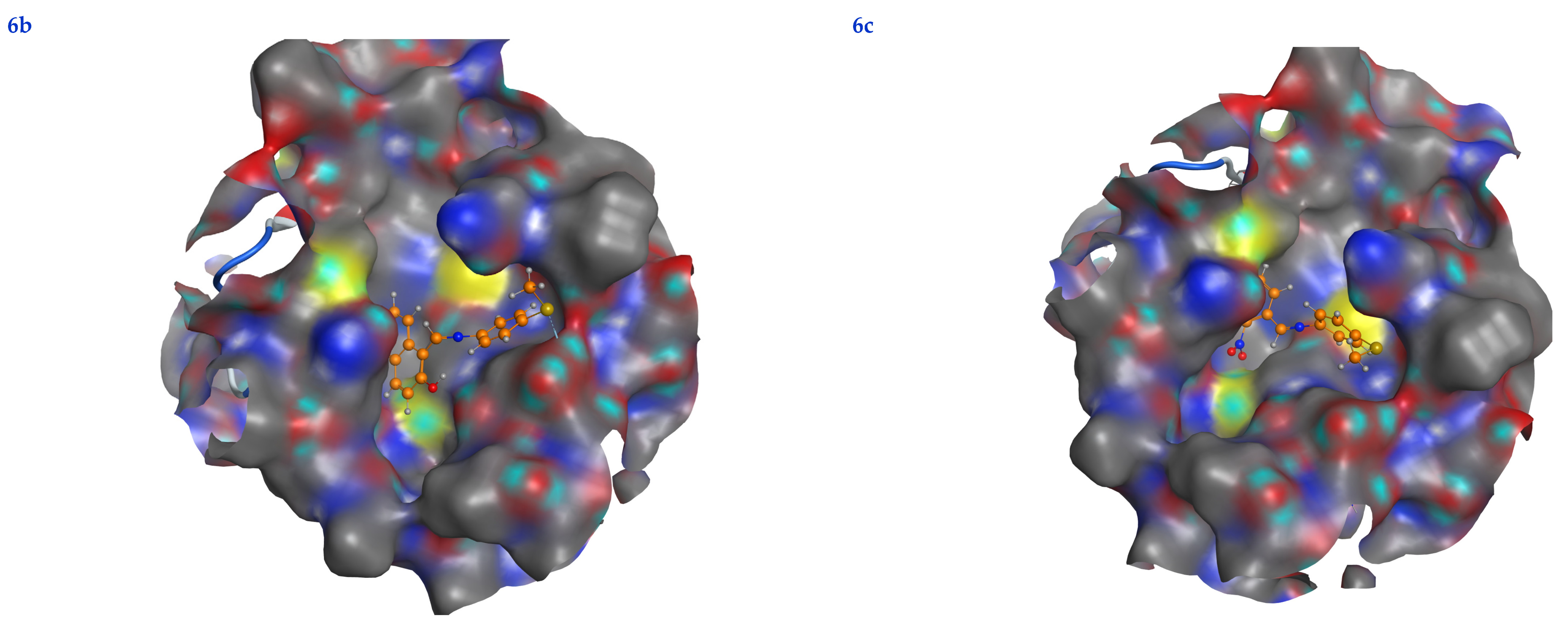 Life 13 00912 g007f Life 13 00912 g007f