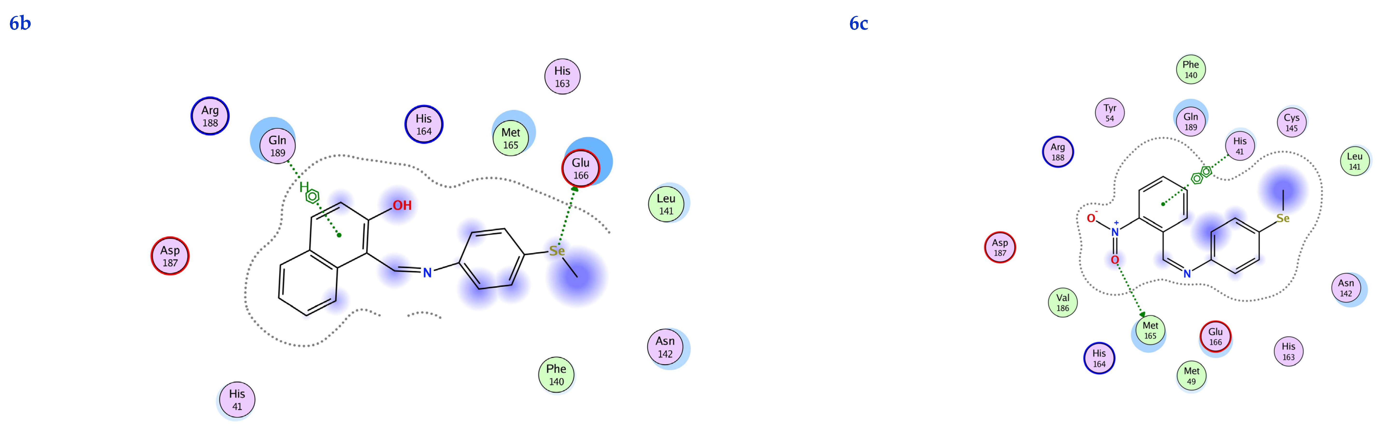 Life 13 00912 g007i Life 13 00912 g007i