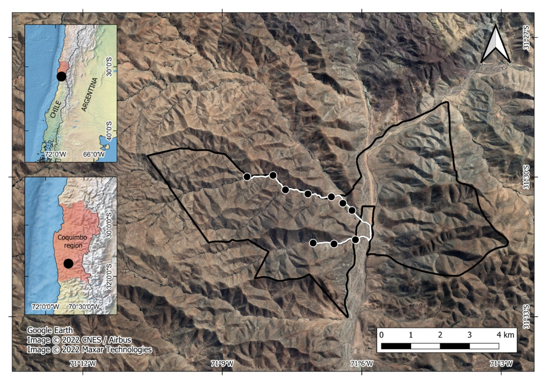 Life 13 00916 g001 Life 13 00916 g001