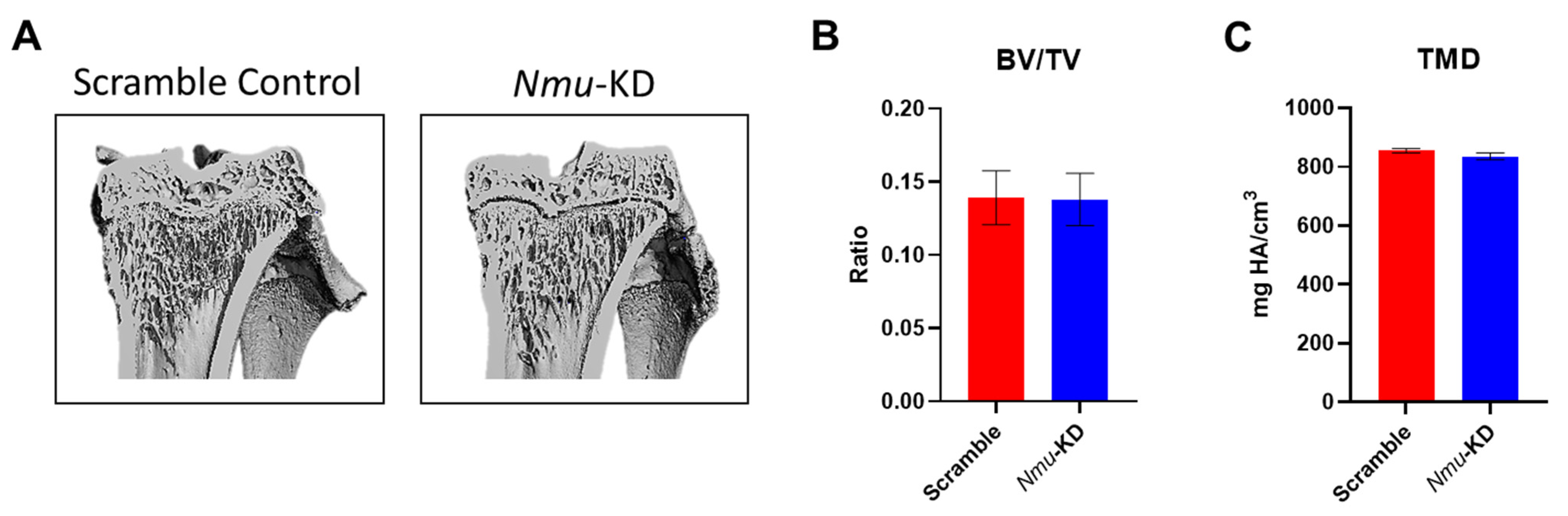 Life 13 00918 g002 Life 13 00918 g002
