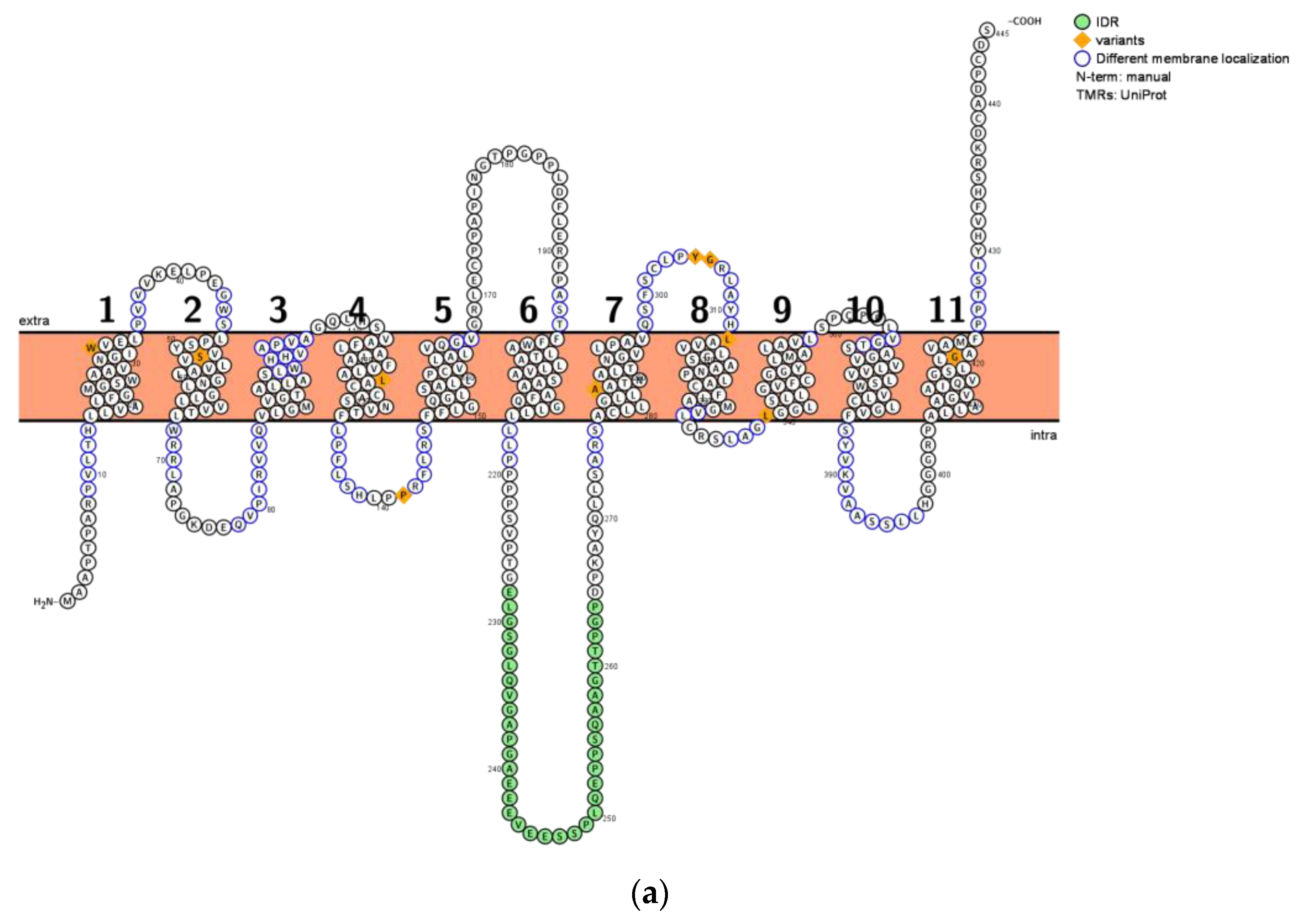 Life 13 00926 g001a Life 13 00926 g001a