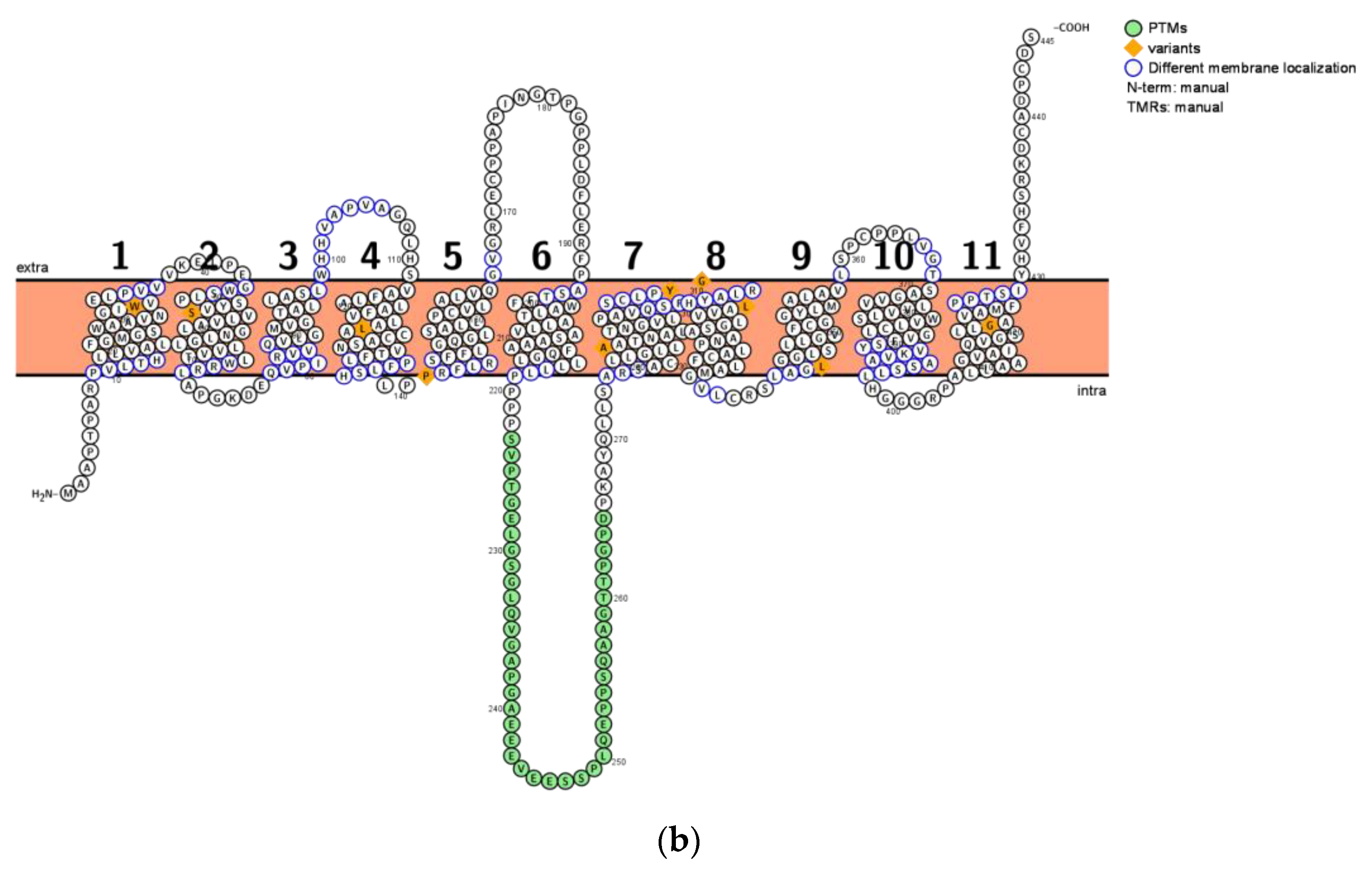 Life 13 00926 g001b Life 13 00926 g001b