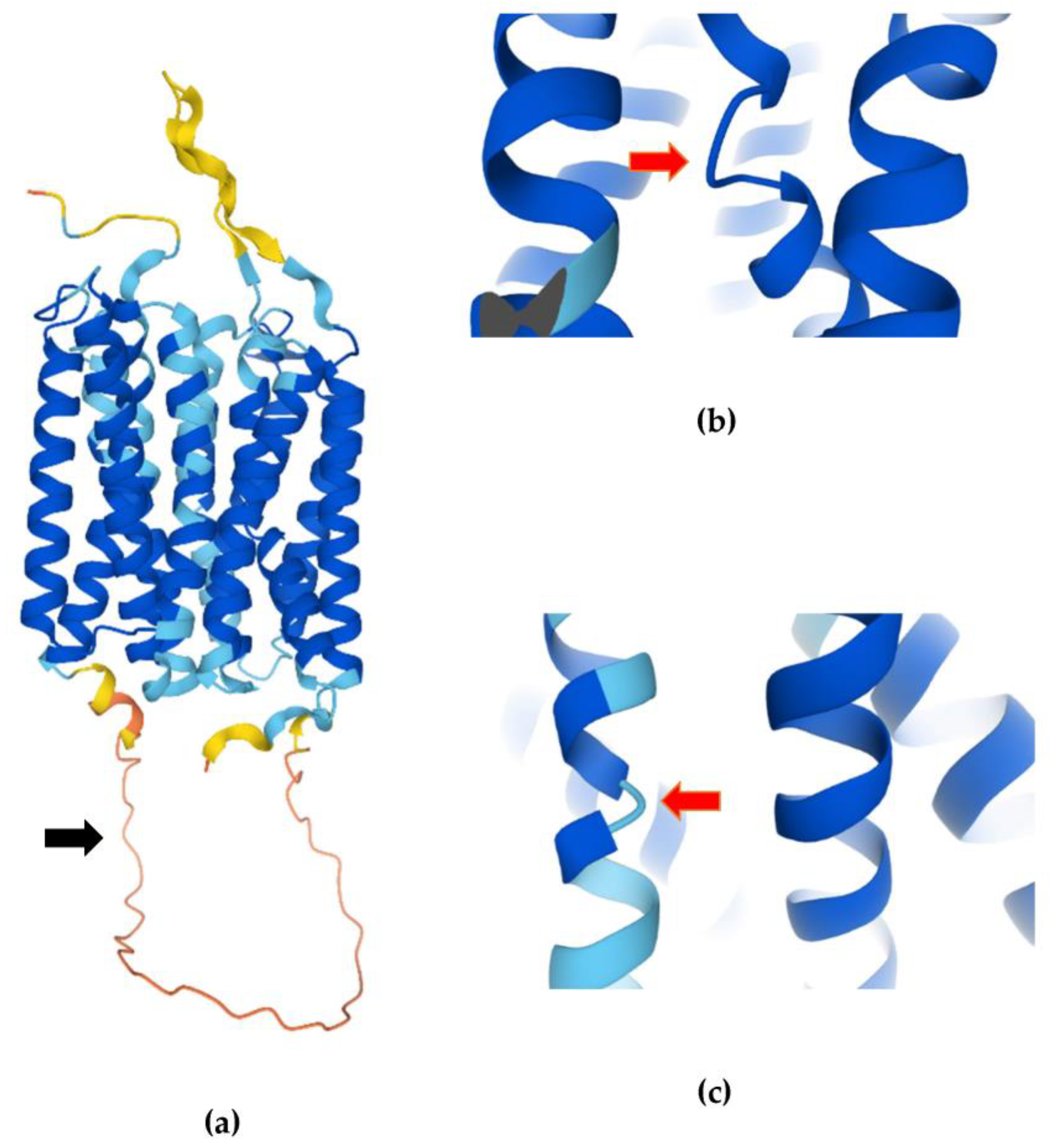 Life 13 00926 g002 Life 13 00926 g002