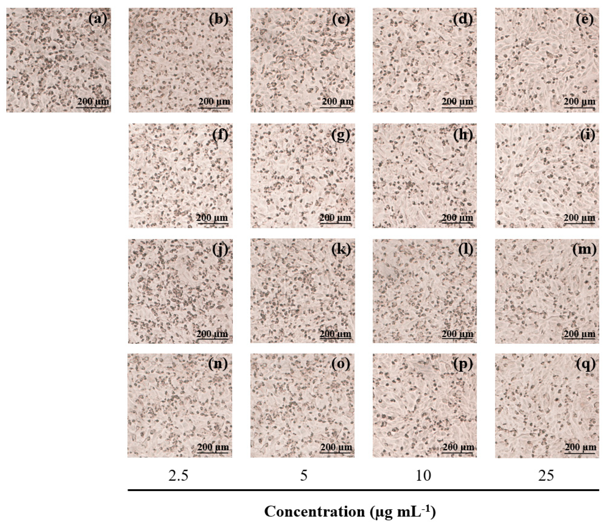 Life 13 00934 g008 Life 13 00934 g008