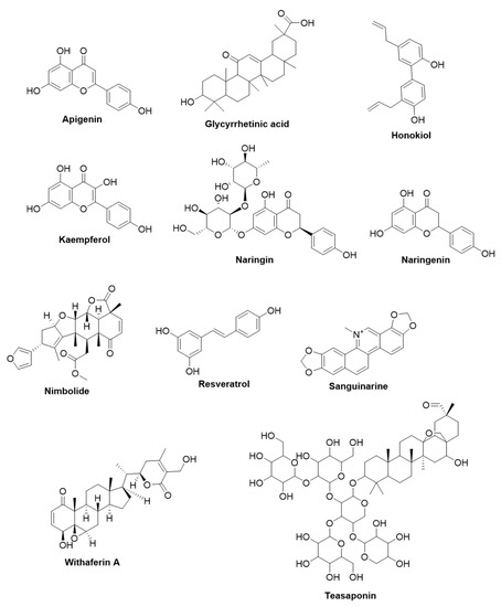 Phytochemicals as Invaluable Sources of Potent Antimicrobial