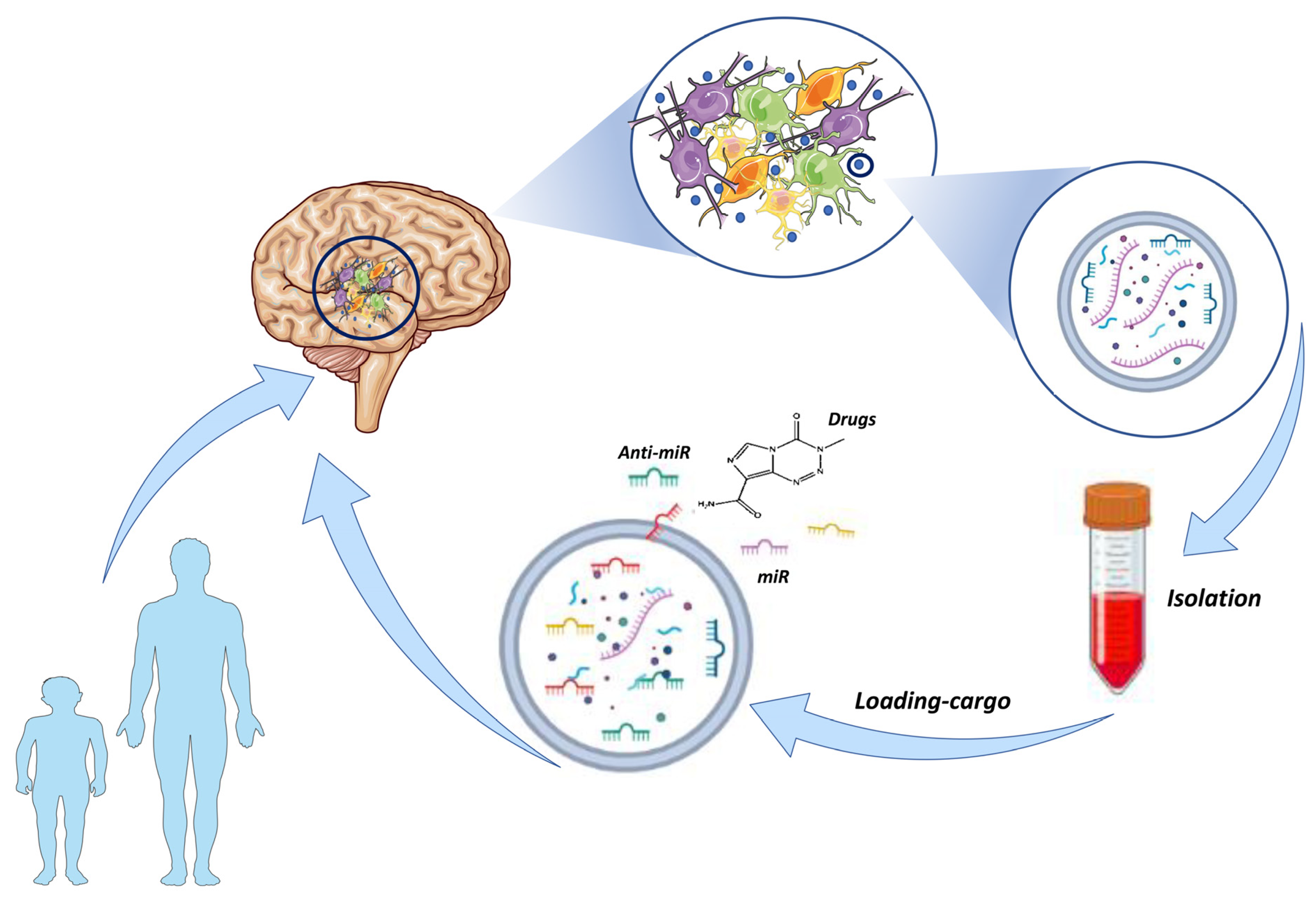 Life 13 00964 g001 Life 13 00964 g001