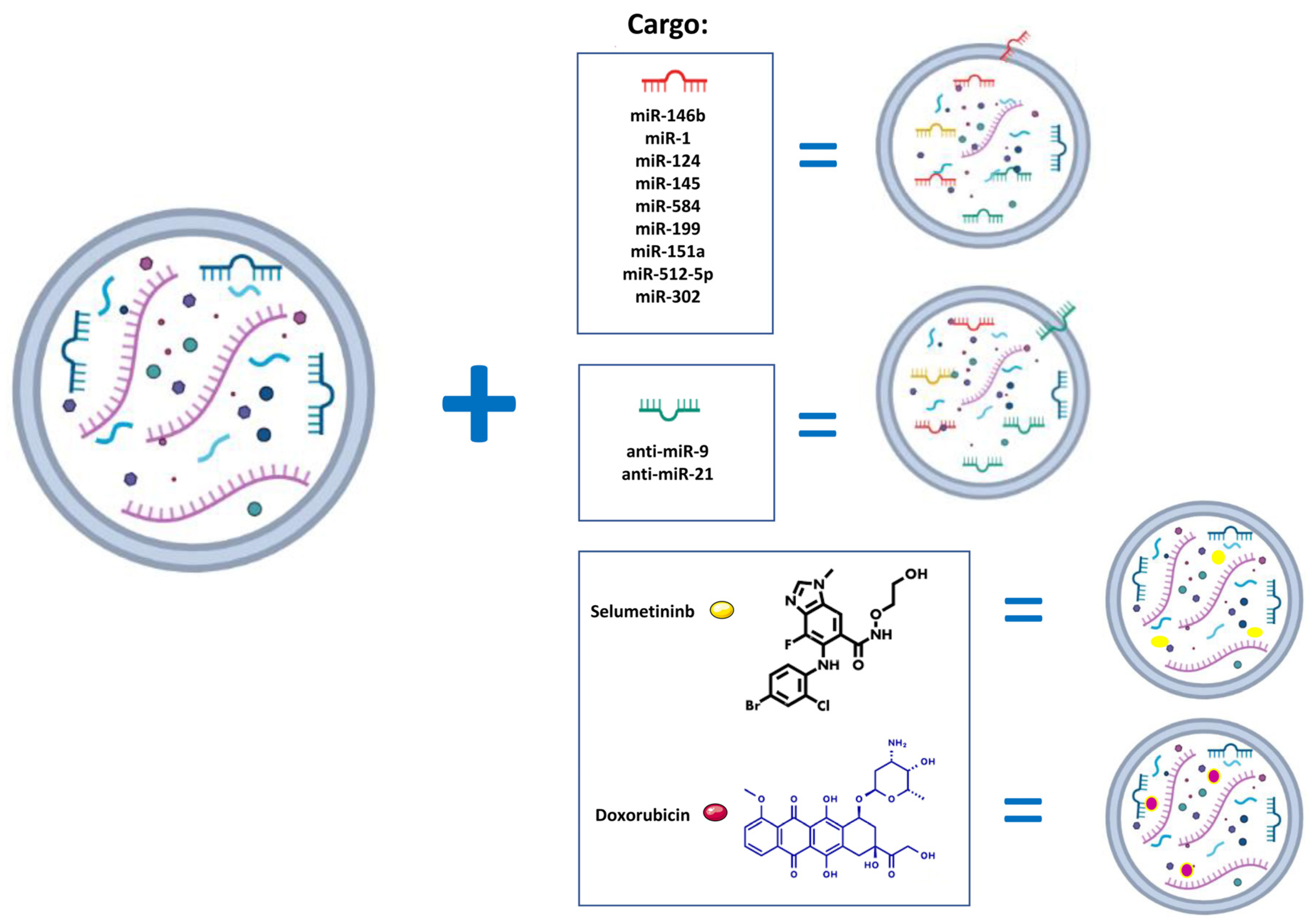 Life 13 00964 g003 Life 13 00964 g003