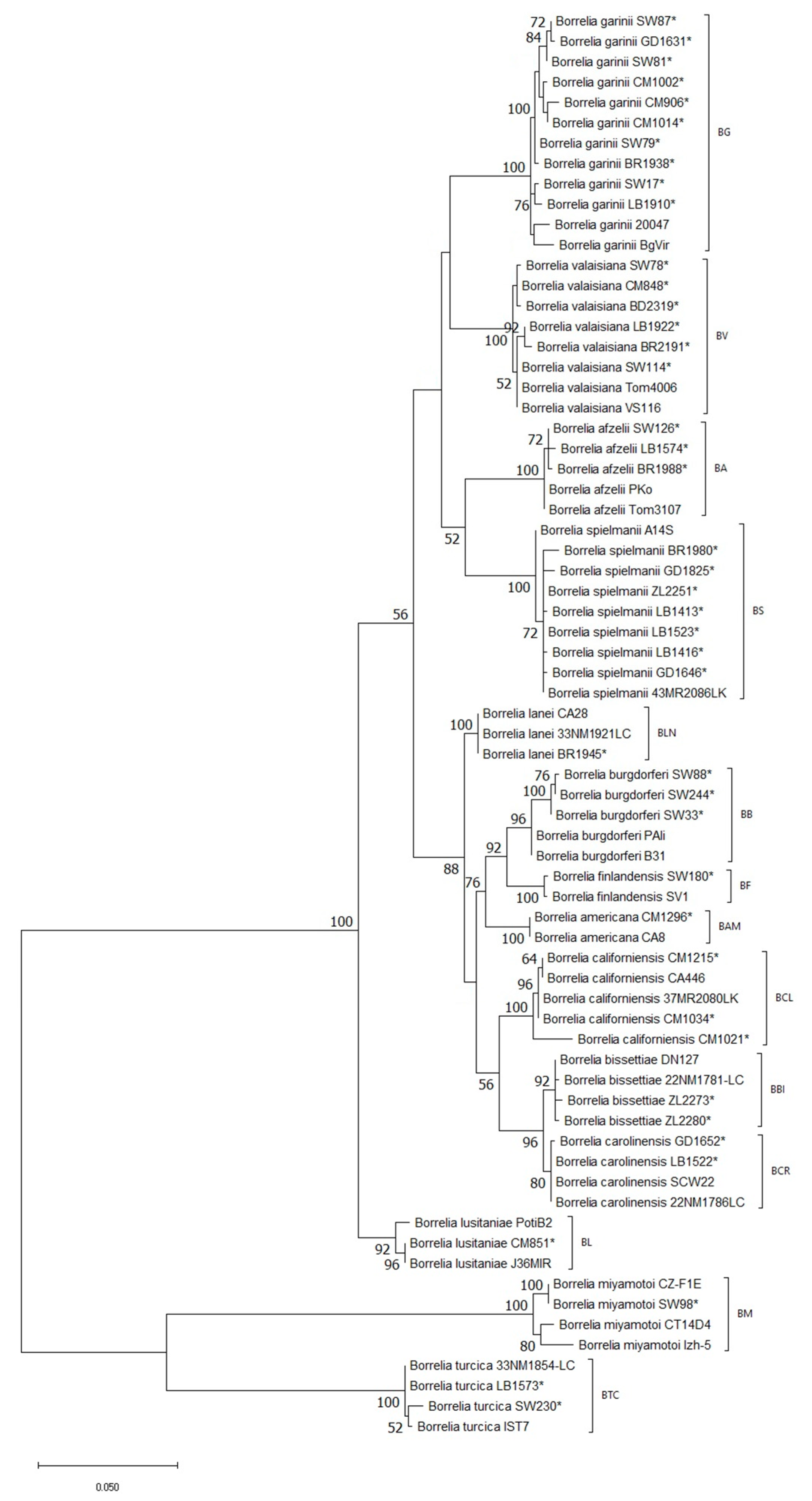 Life 13 00972 g002 Life 13 00972 g002