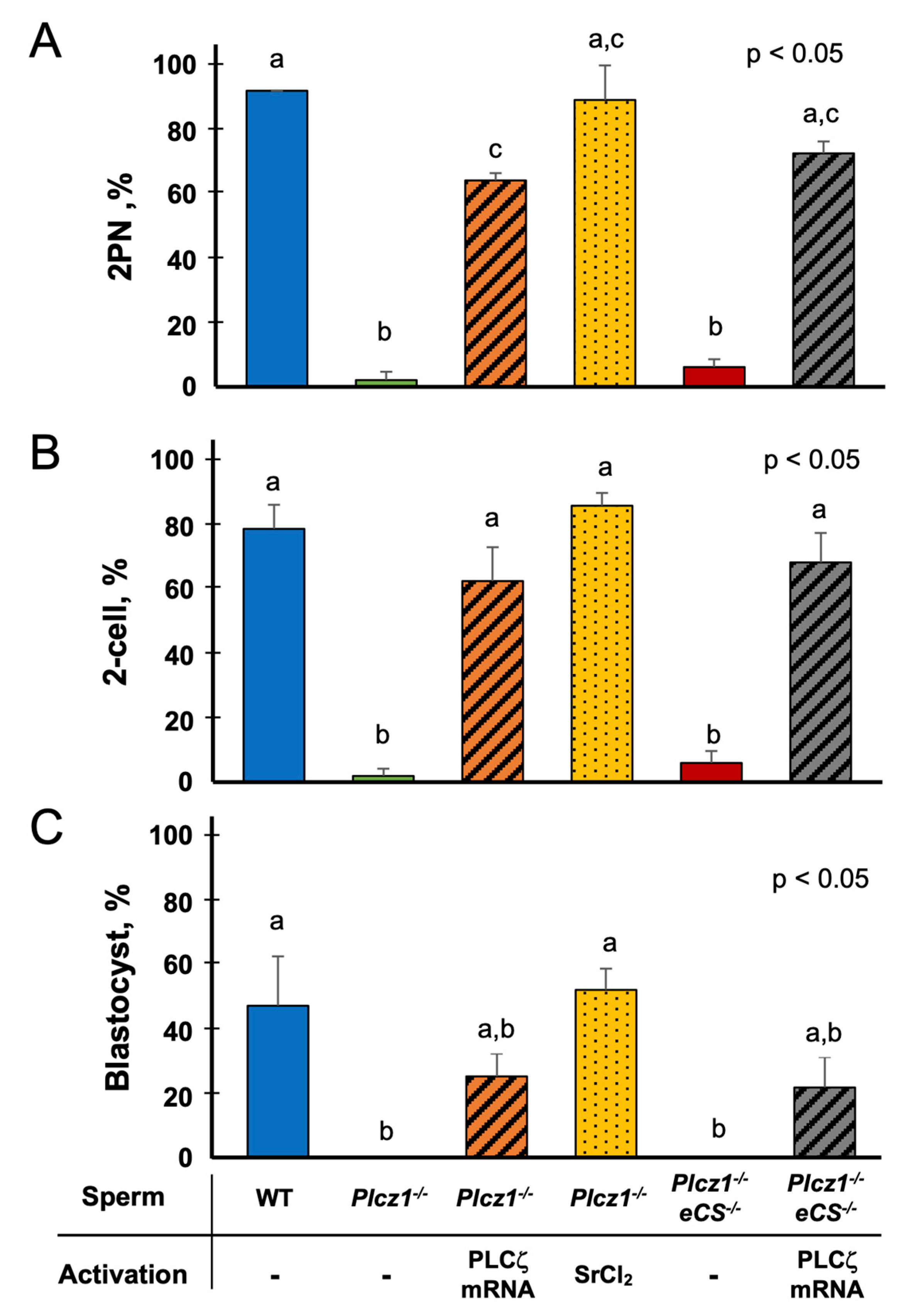 Life 13 00980 g002 Life 13 00980 g002