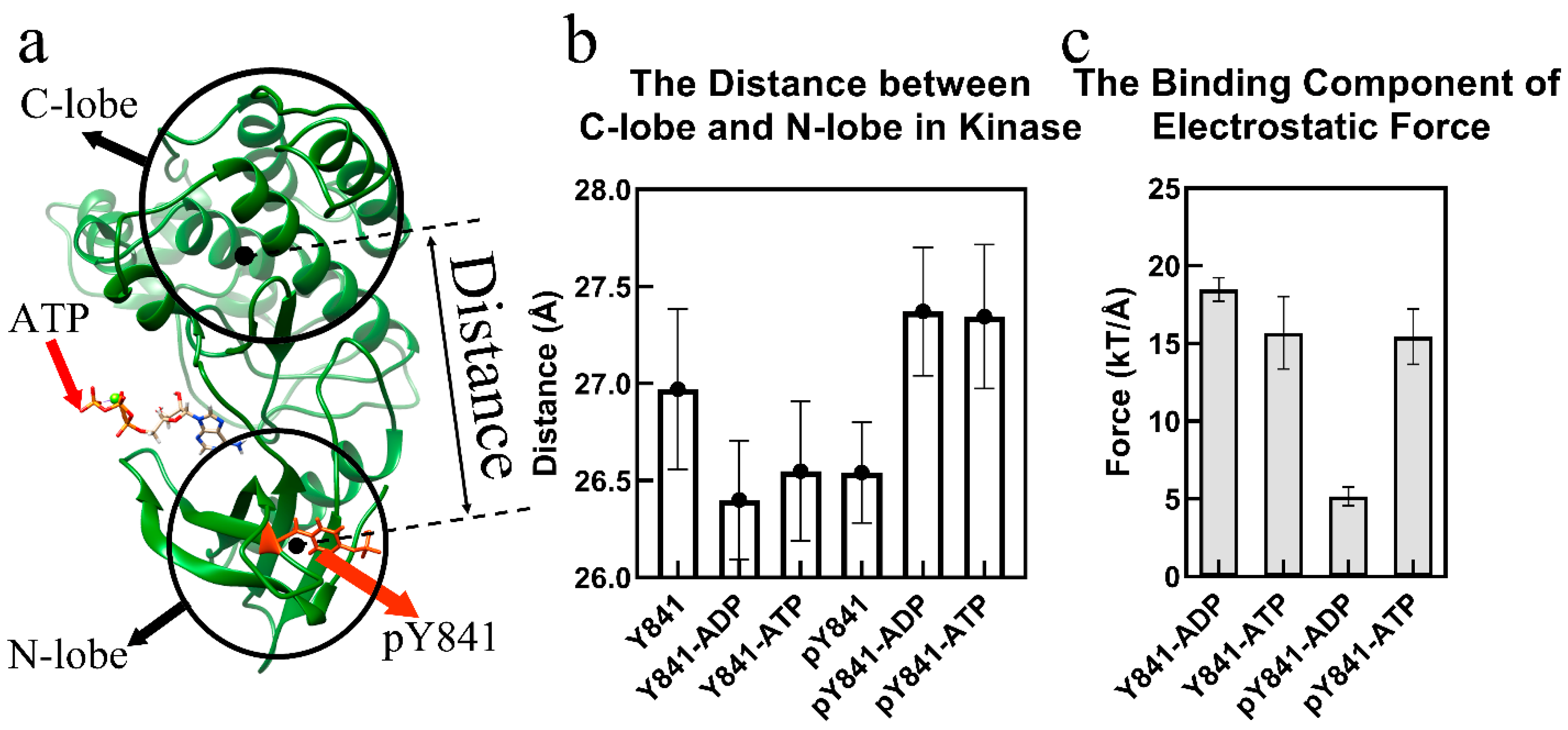 Life 13 00981 g001 Life 13 00981 g001