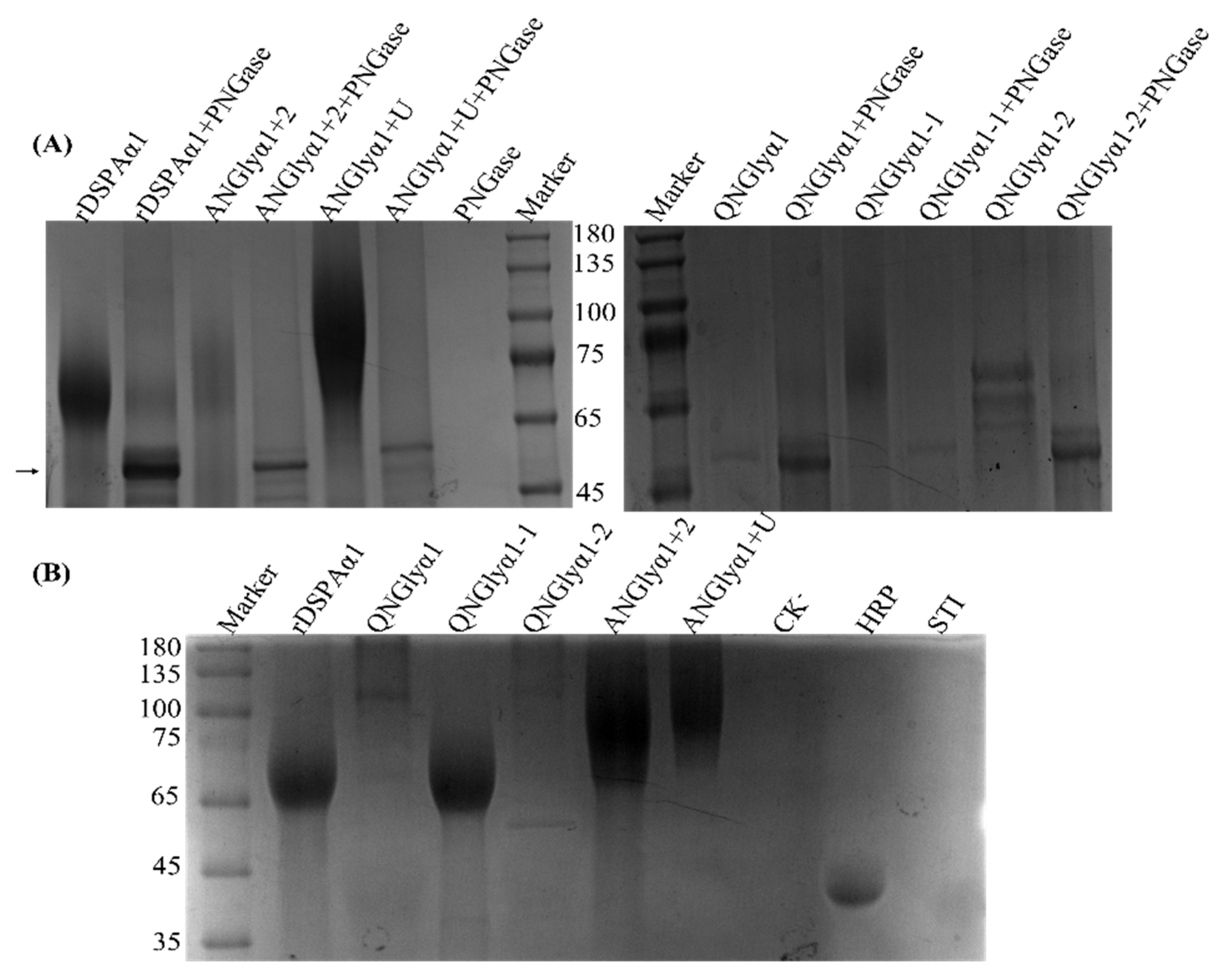 Life 13 00985 g005 Life 13 00985 g005