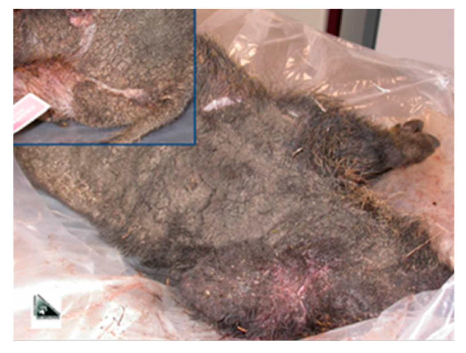 Life 13 00987 g002 Life 13 00987 g002