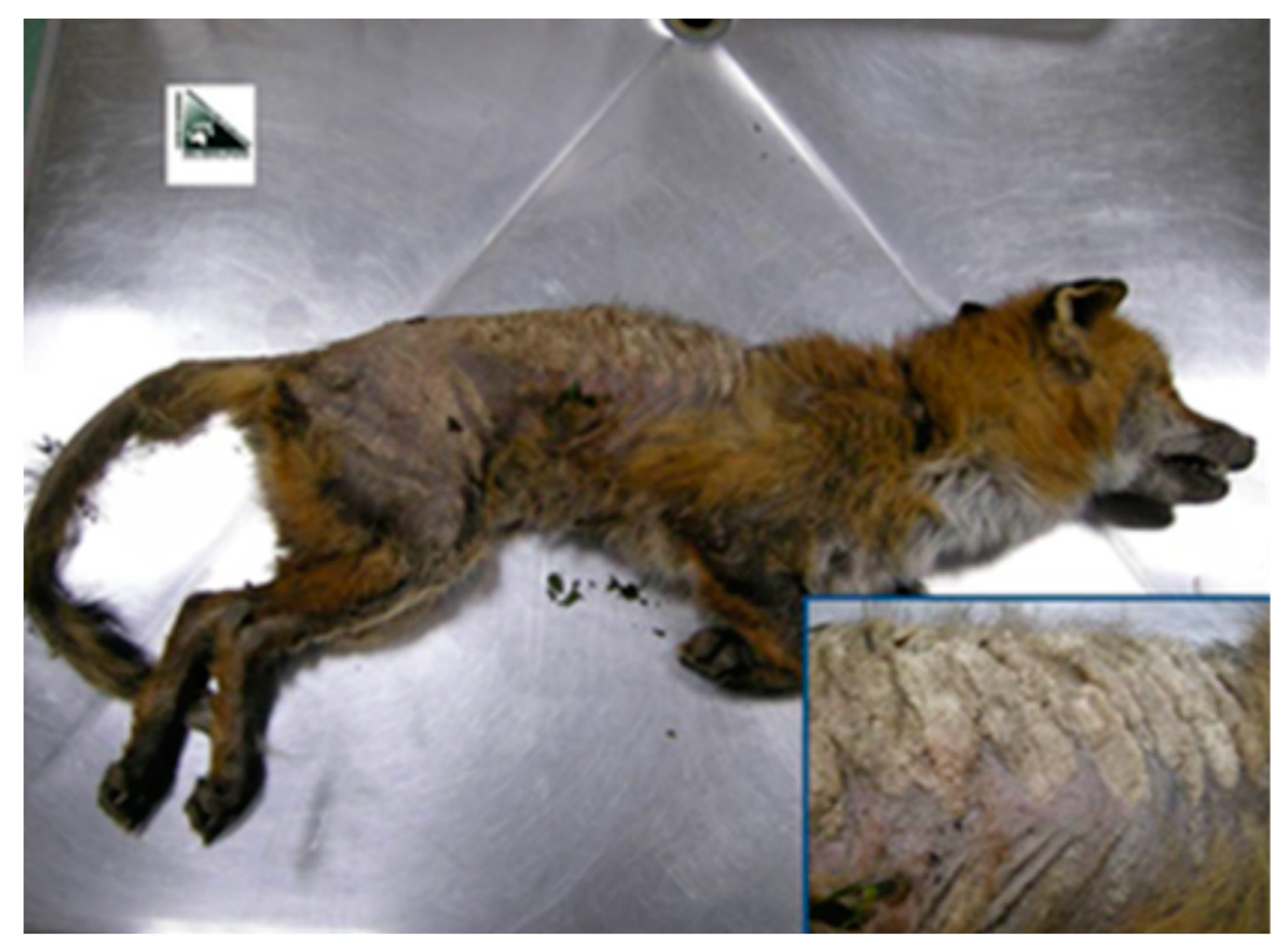 Life 13 00987 g003 Life 13 00987 g003