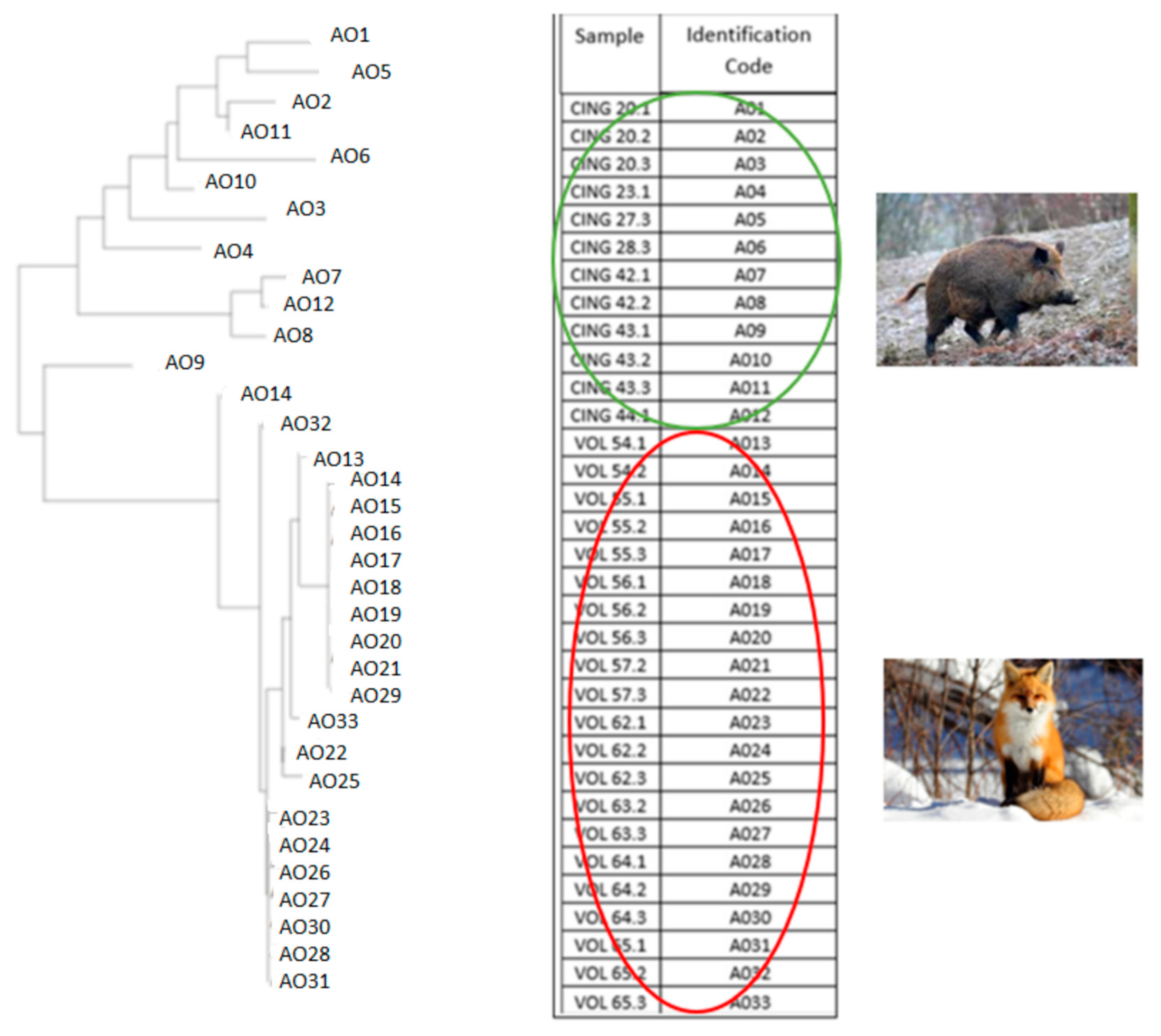 Life 13 00987 g007 Life 13 00987 g007