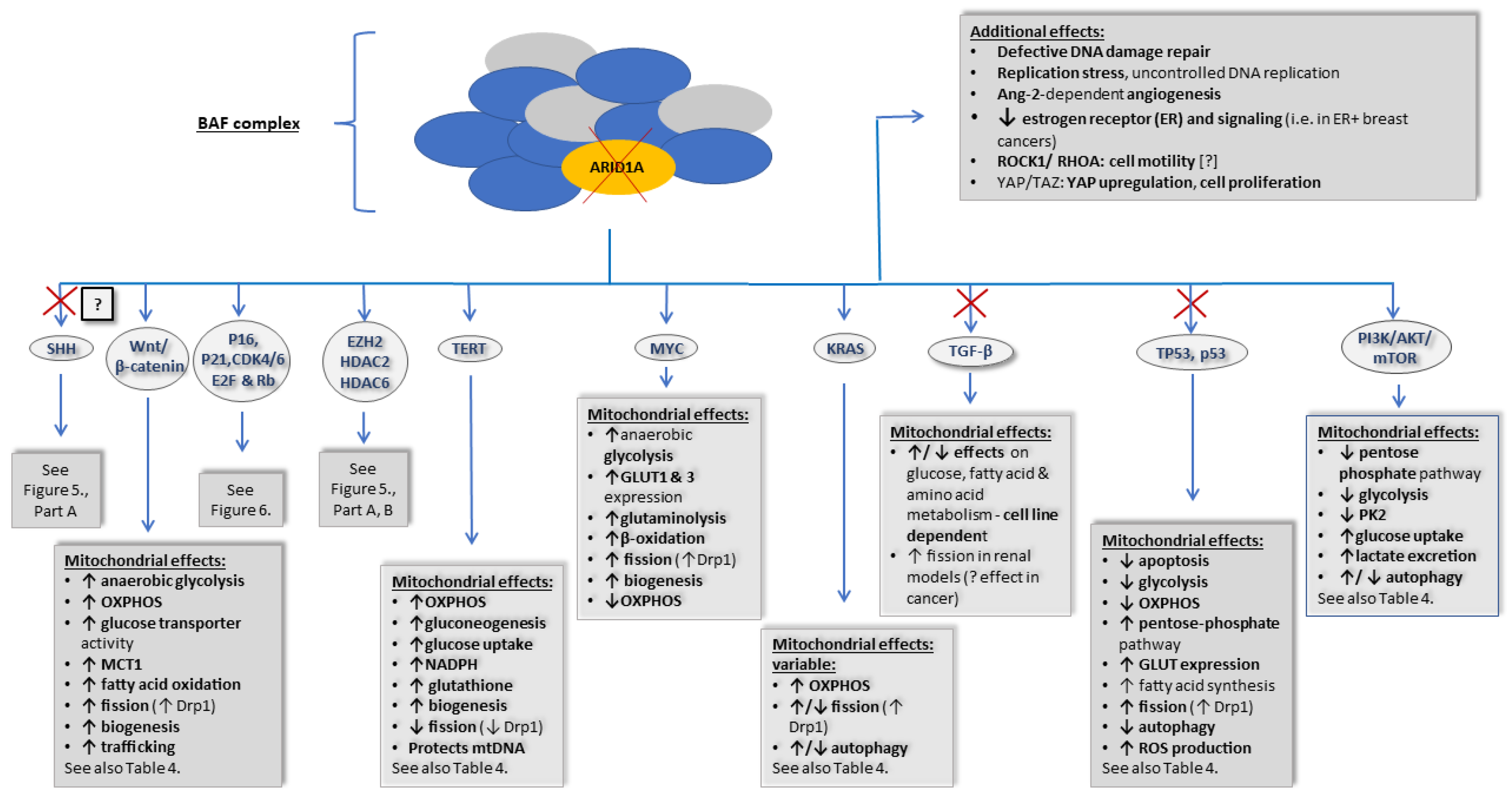 Life 13 00996 g004 Life 13 00996 g004