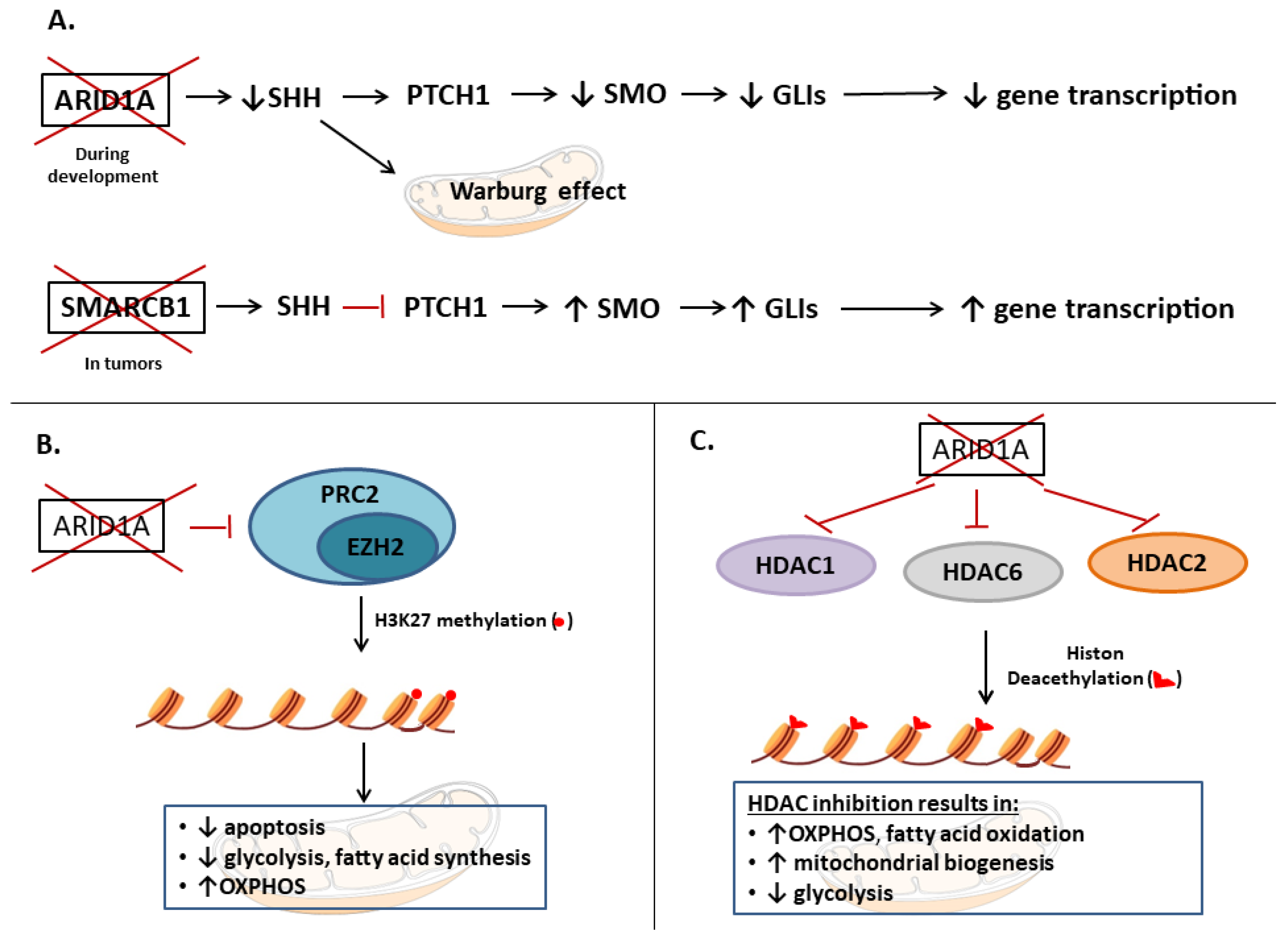 Life 13 00996 g005 Life 13 00996 g005