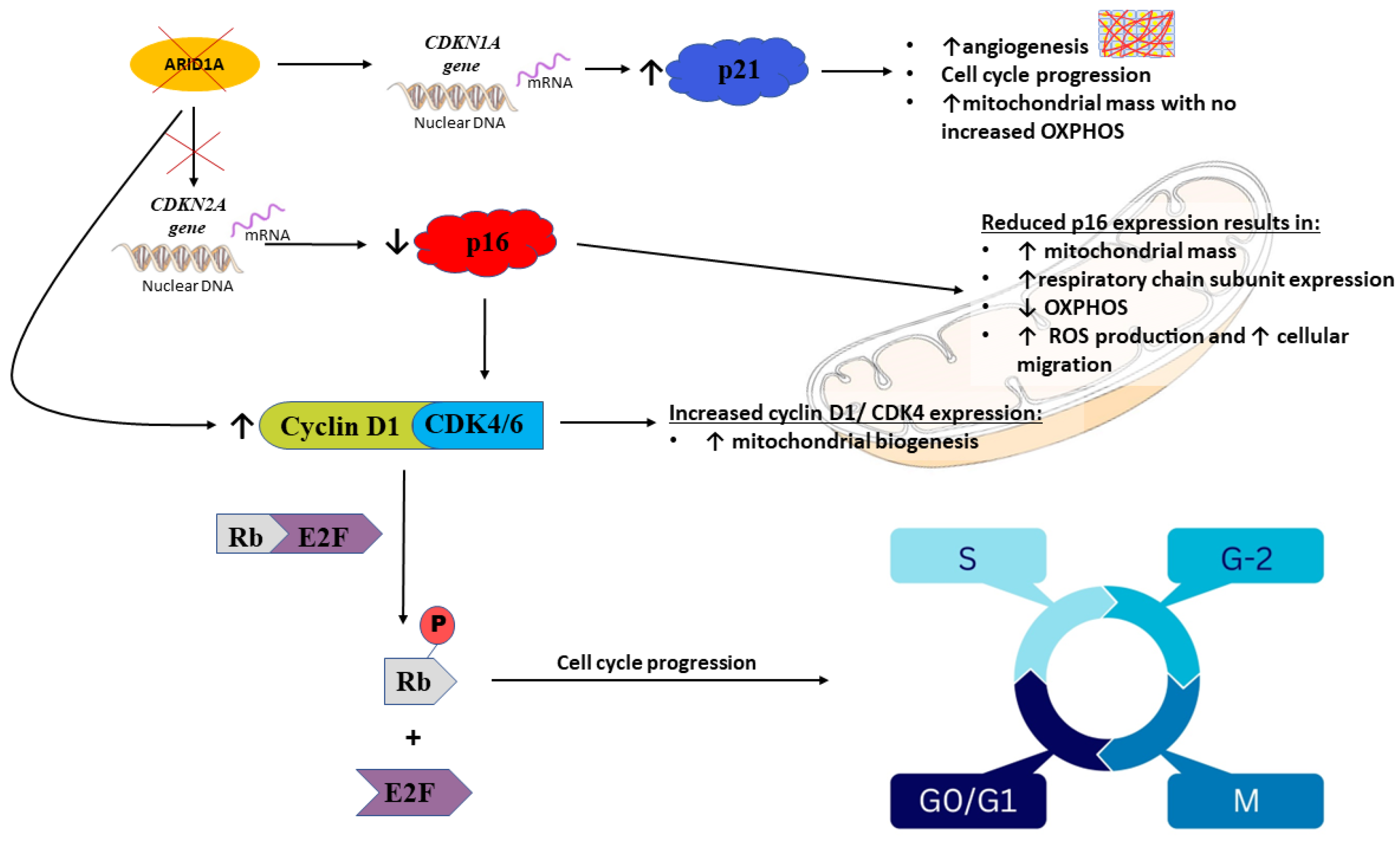 Life 13 00996 g006 Life 13 00996 g006
