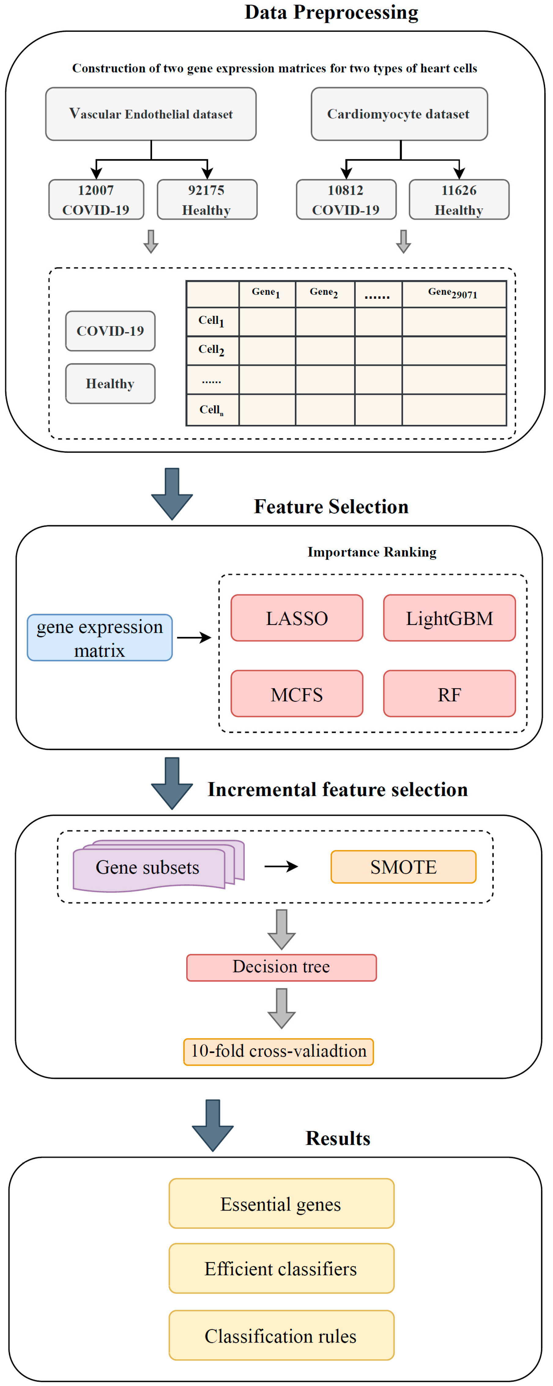 Life 13 01011 g001 Life 13 01011 g001