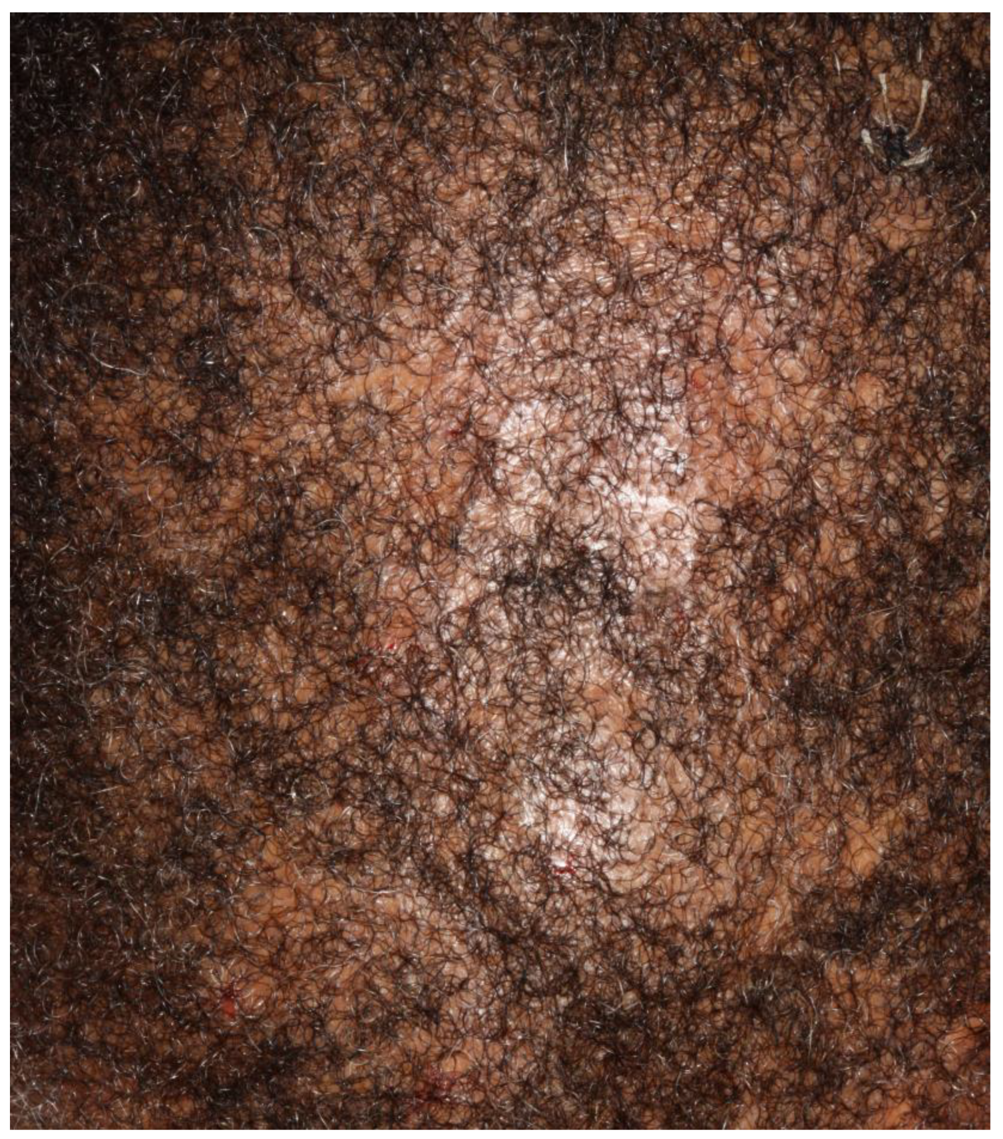 Life 13 01022 g001 Life 13 01022 g001