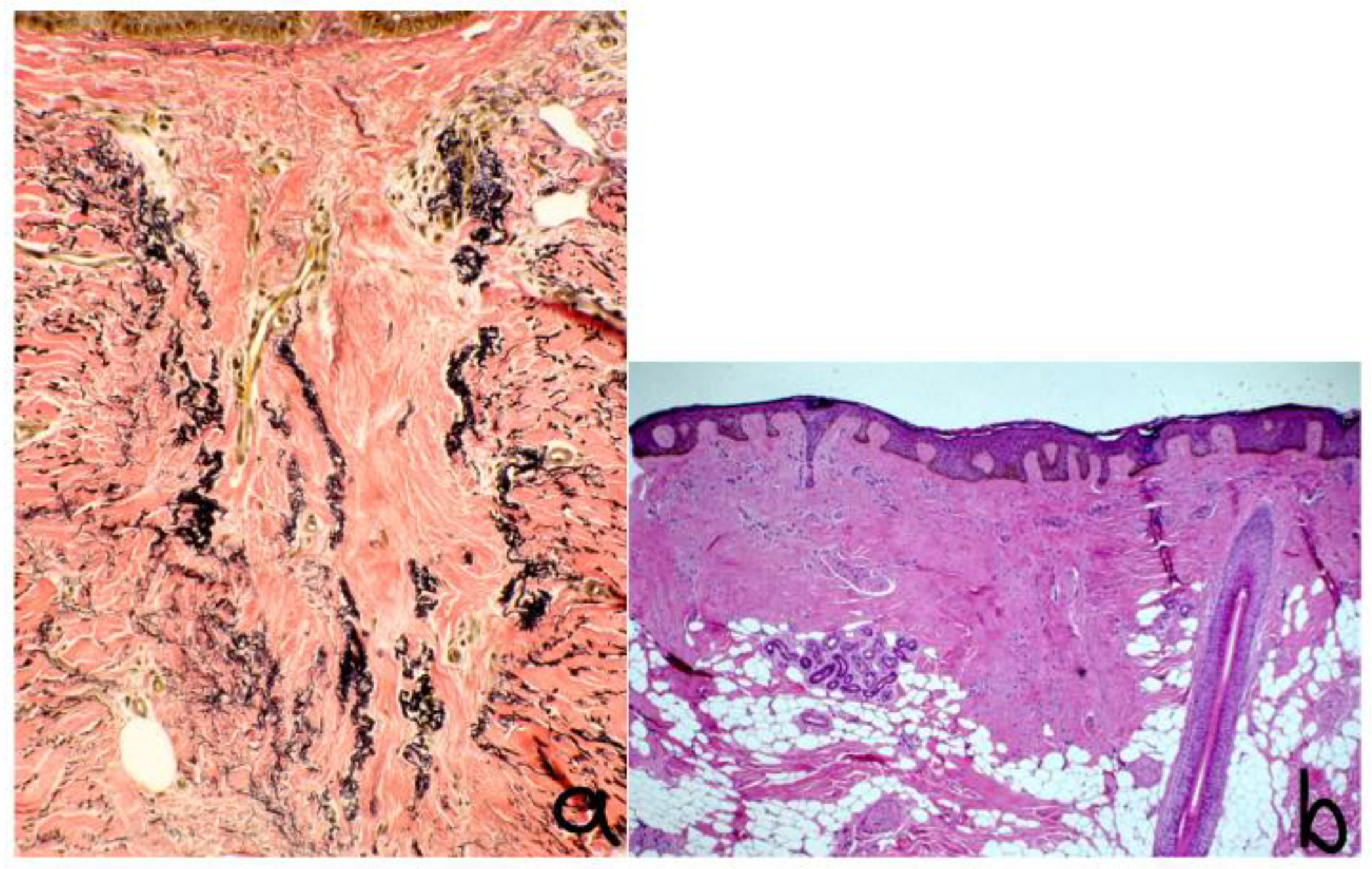 Life 13 01022 g002 Life 13 01022 g002