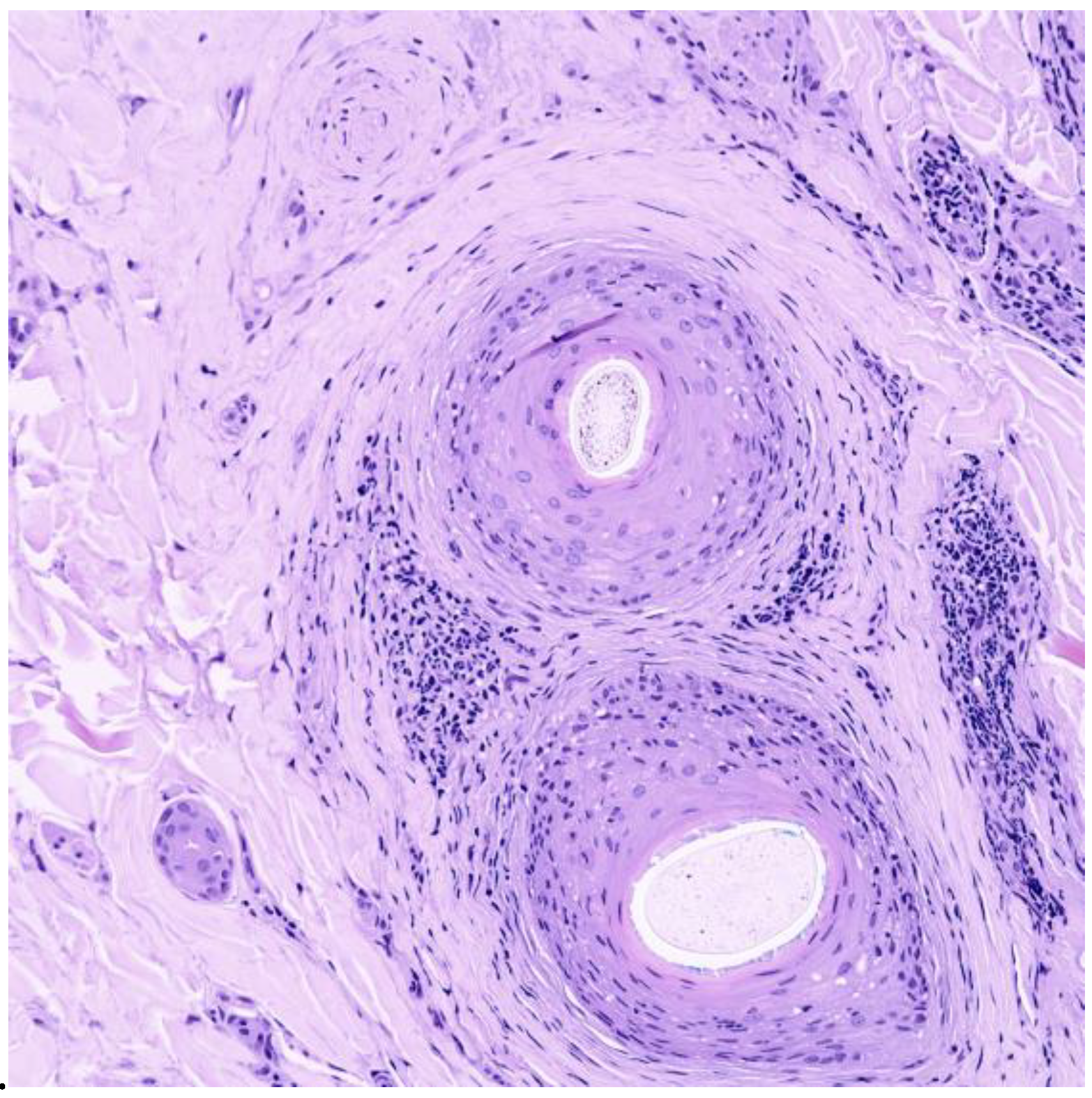 Life 13 01022 g003 Life 13 01022 g003