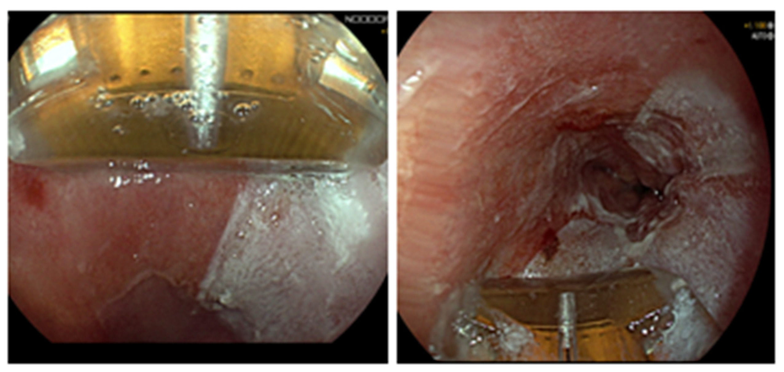 Life 13 01023 g001 Life 13 01023 g001