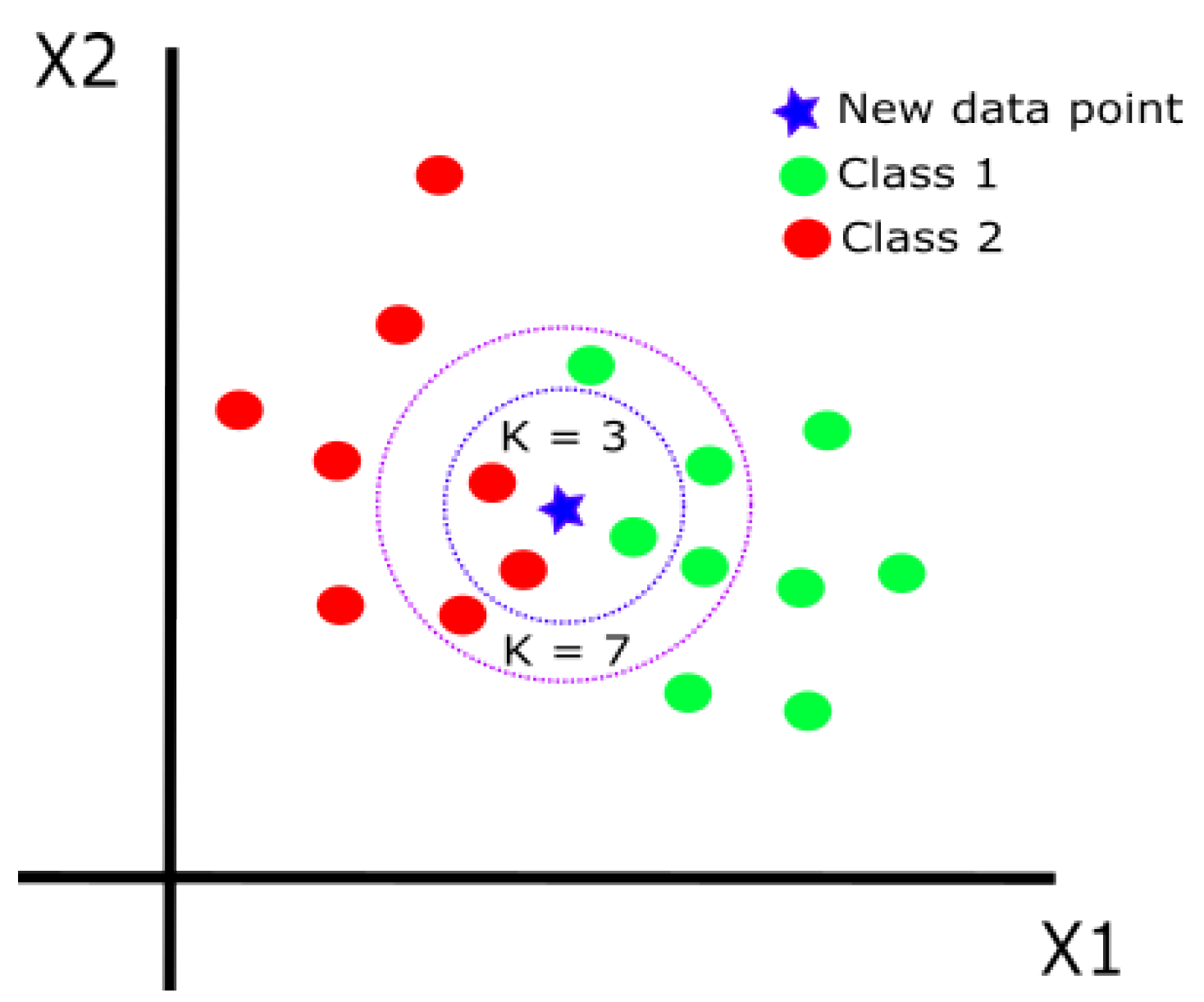 Life 13 01031 g004 Life 13 01031 g004