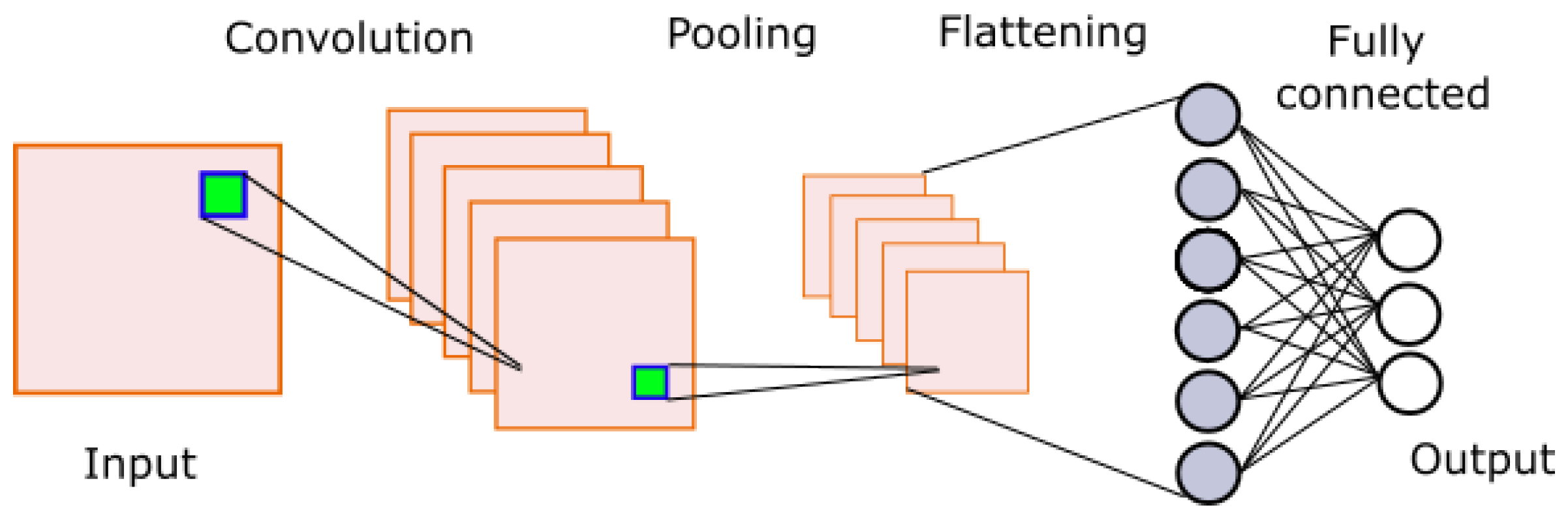 Life 13 01031 g009 Life 13 01031 g009