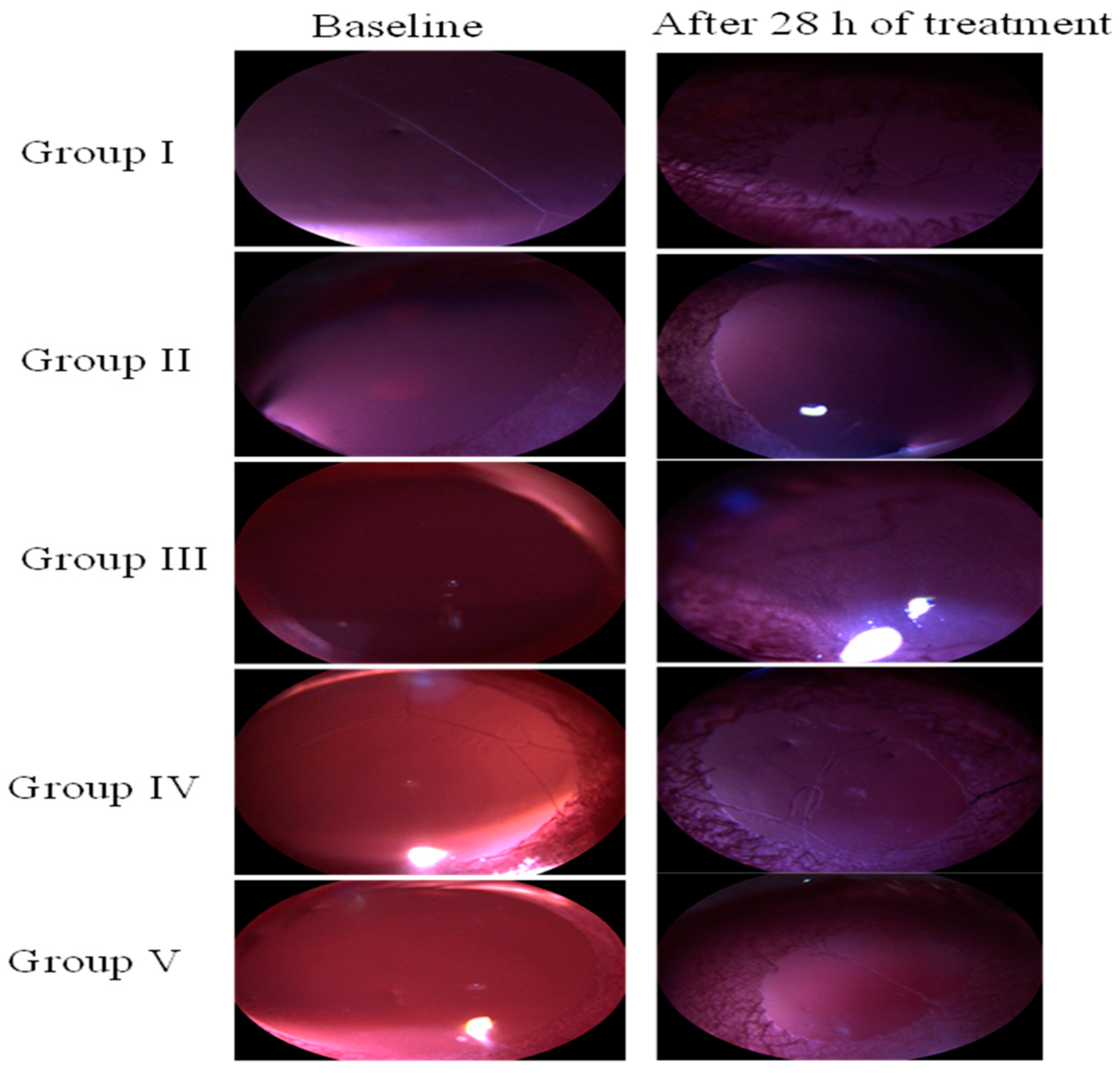Life 13 01057 g002 Life 13 01057 g002