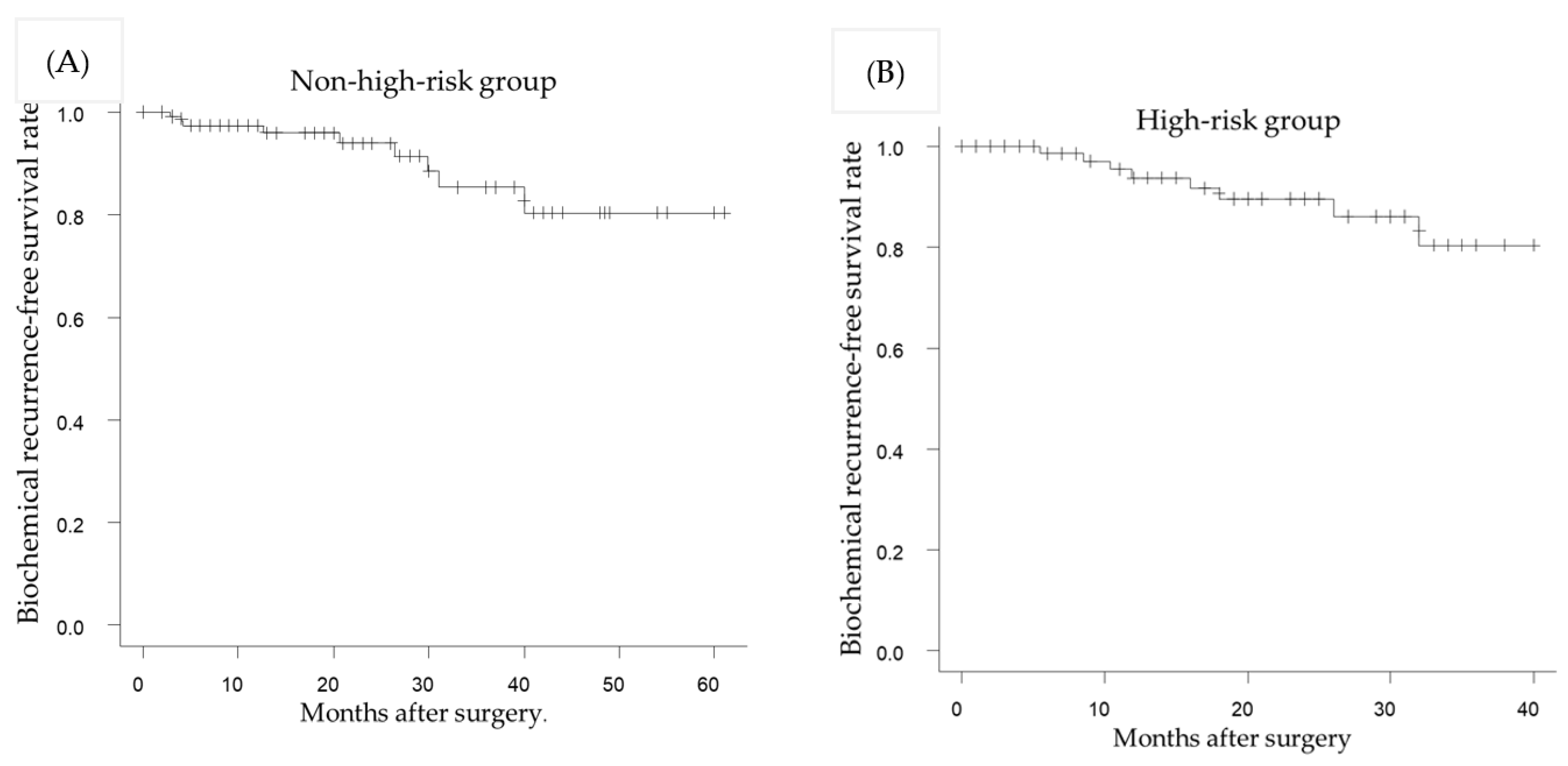 Life 13 01072 g002 Life 13 01072 g002