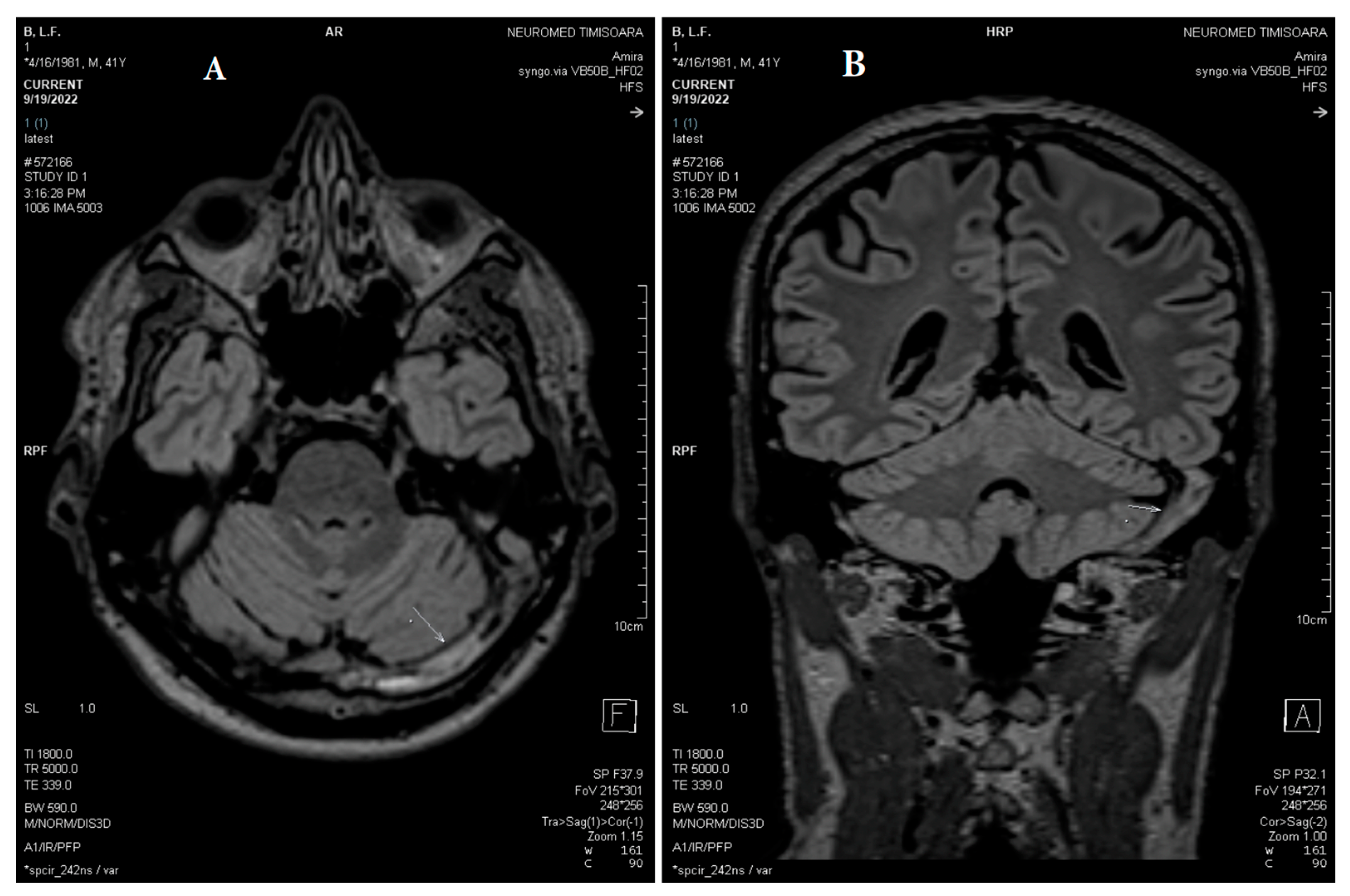 Life 13 01074 g007 Life 13 01074 g007