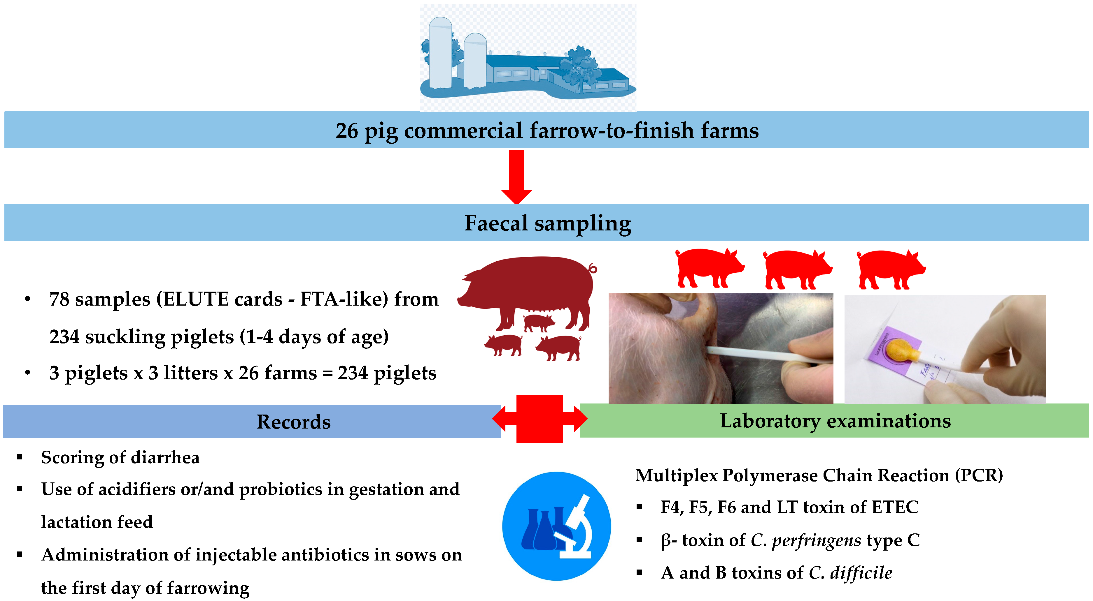 Life 13 01092 g001 Life 13 01092 g001