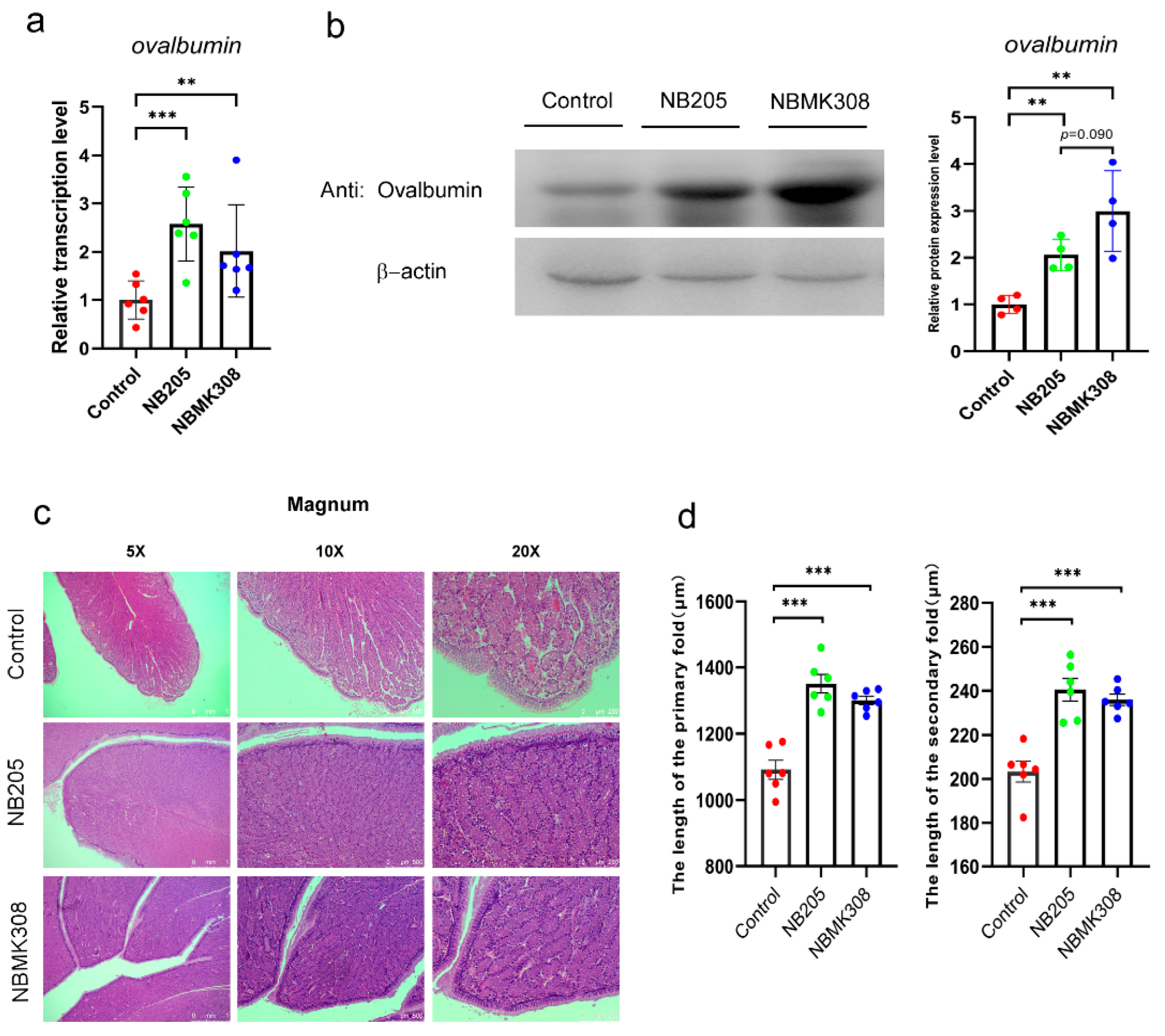 Life 13 01109 g002 Life 13 01109 g002