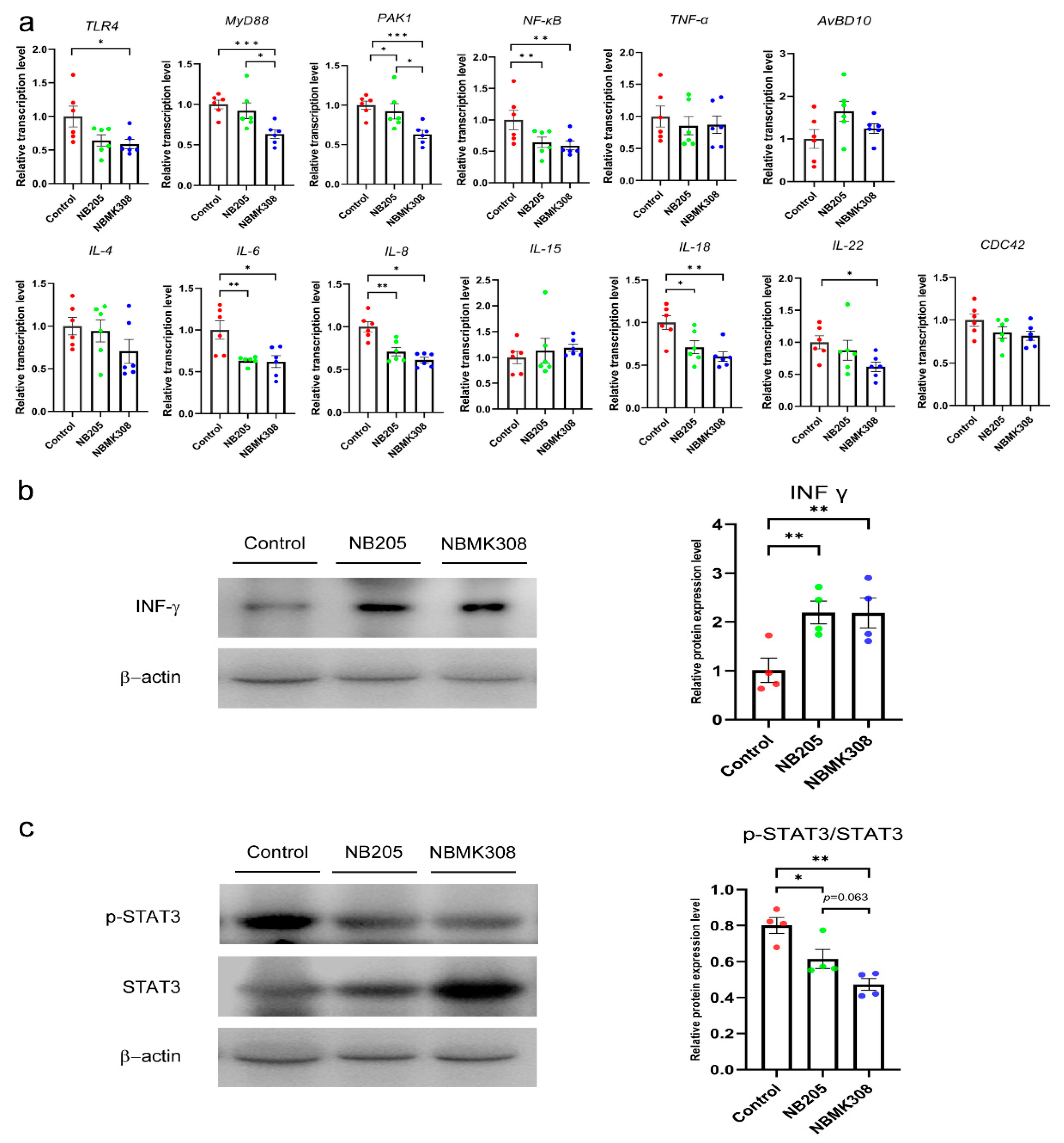 Life 13 01109 g004 Life 13 01109 g004