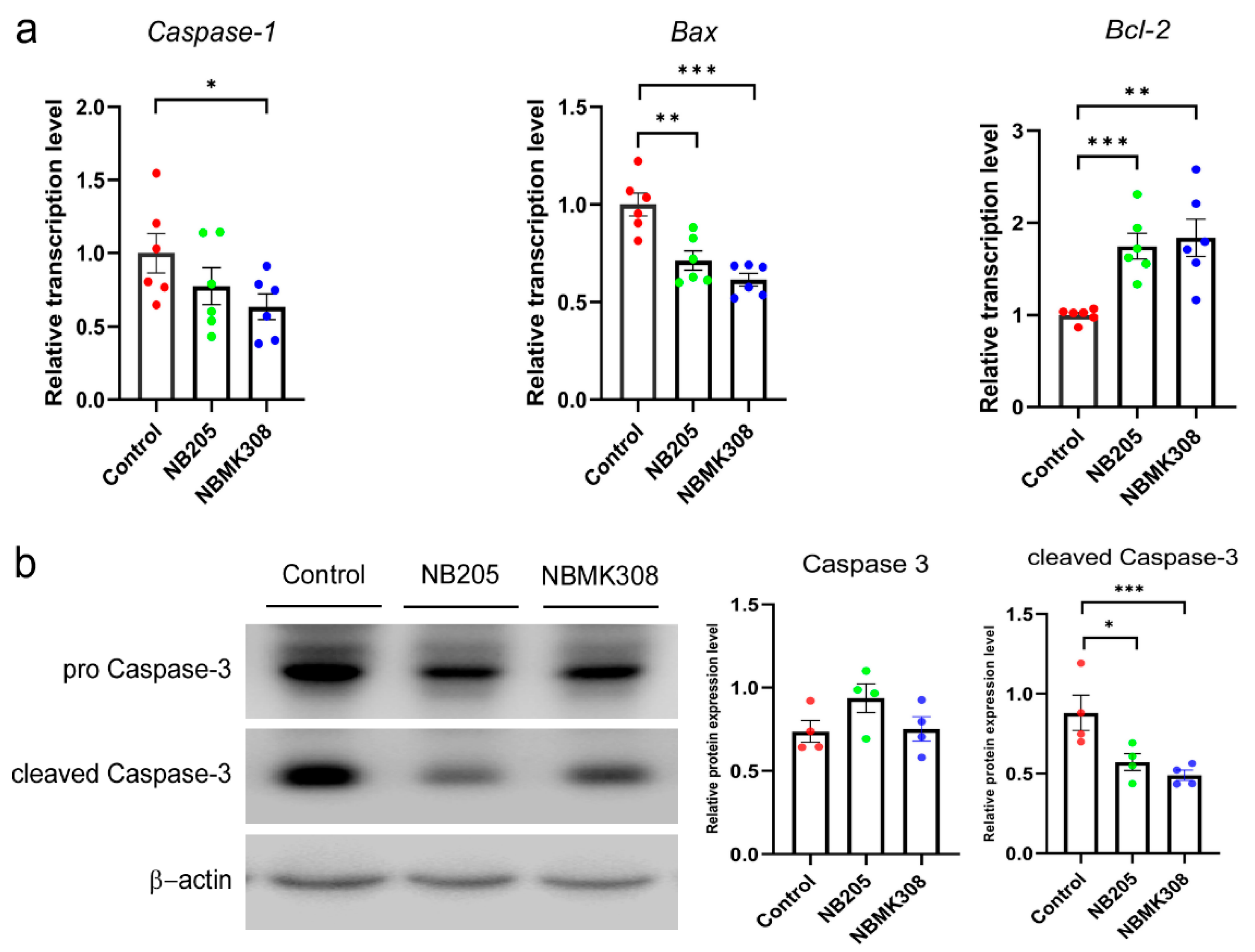 Life 13 01109 g005 Life 13 01109 g005