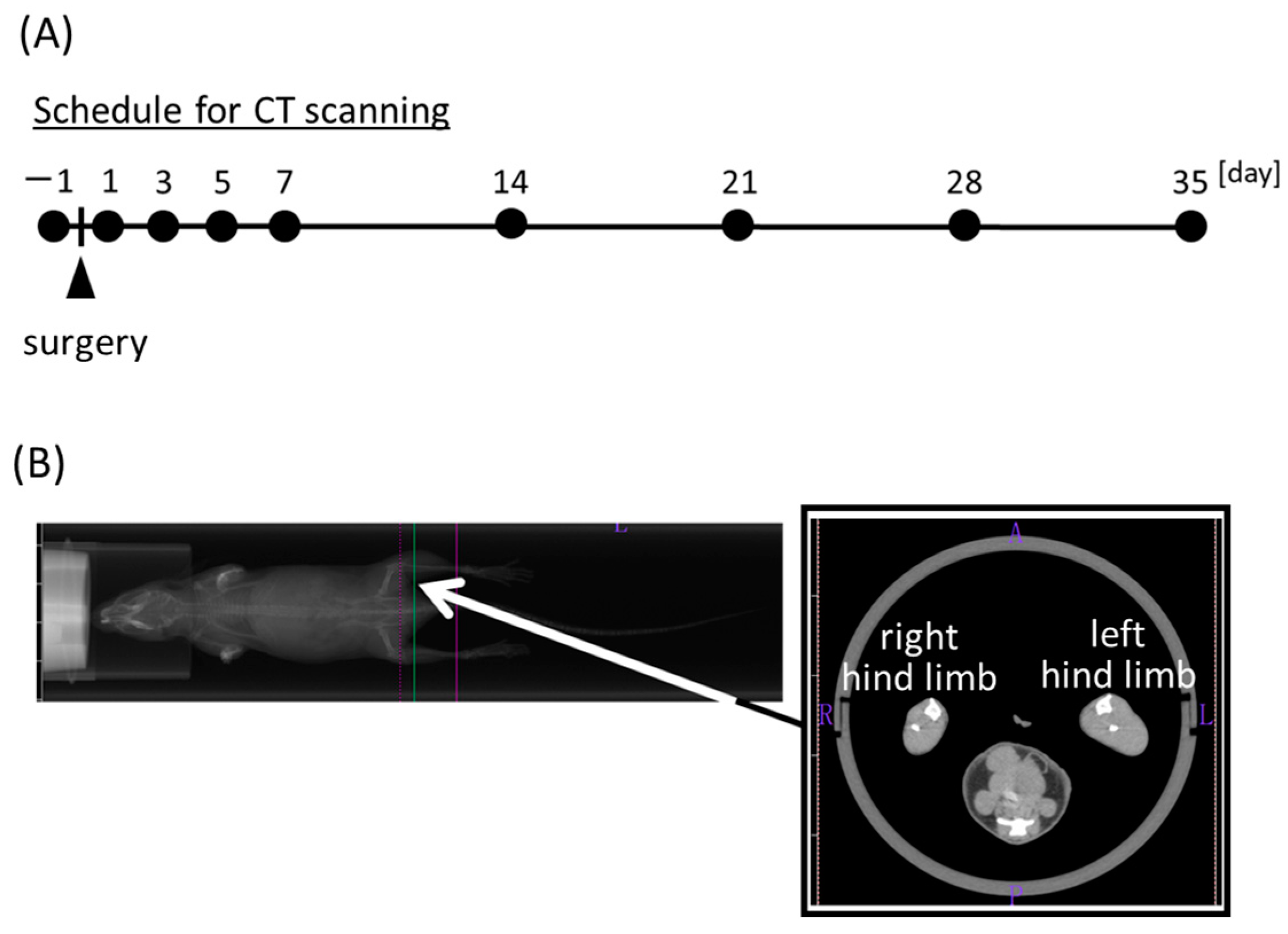 Life 13 01111 g001 Life 13 01111 g001