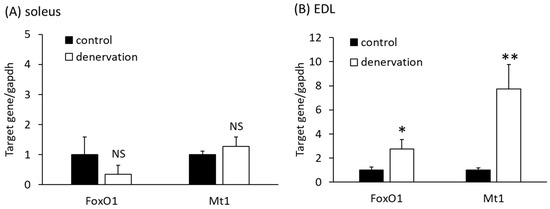 Up- and Downregulated Genes after Long-Term Muscle Atrophy Induced by ...