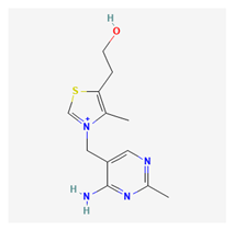 Life 13 01120 i016 Life 13 01120 i016